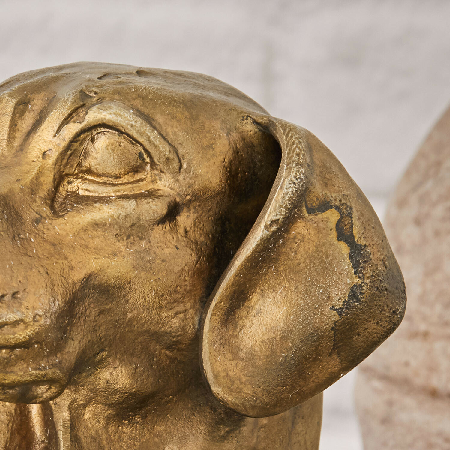 Testa di cane decorativa Nareen