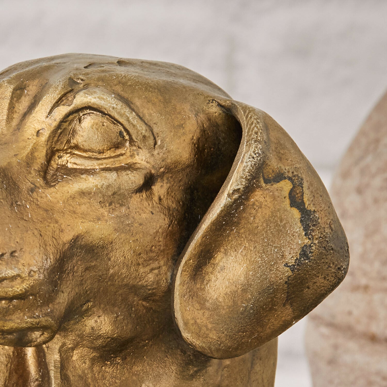 Testa di cane decorativa Nareen