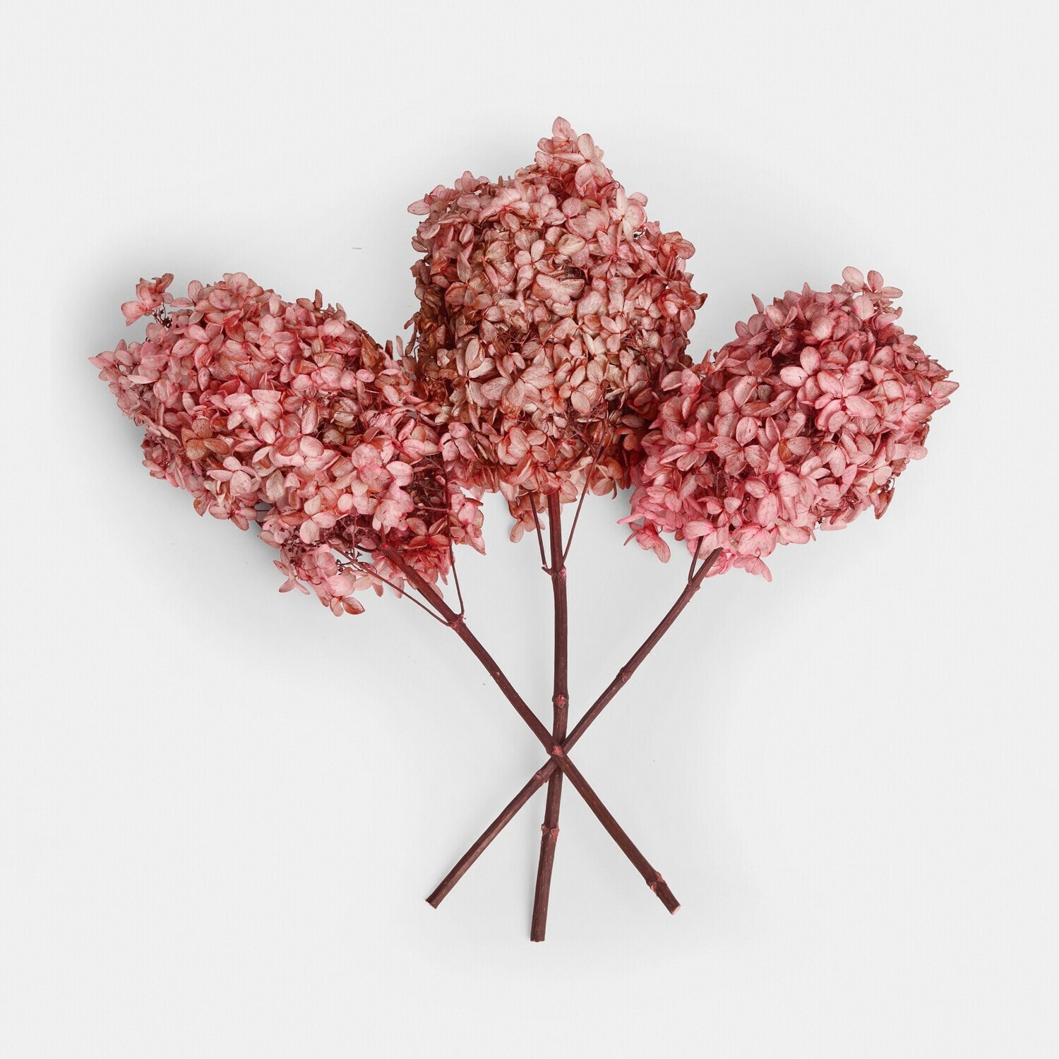Set di 3 fiori secchi Amélorie Tre fiori di ortensia essiccati rosa per decorazioni d'interni e composizioni floreali