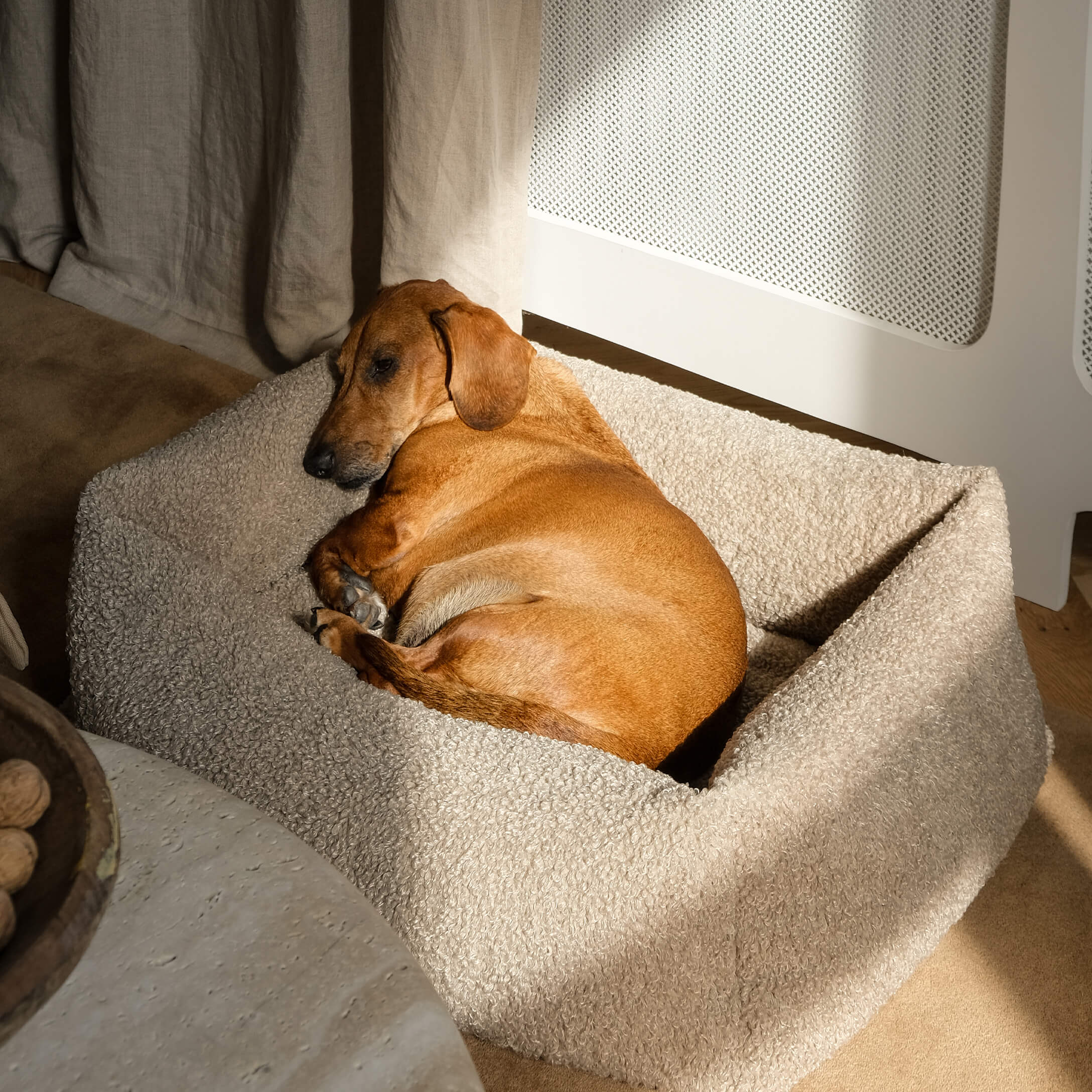 Cane marrone che dorme su un morbido letto beige in peluche in un interno accogliente