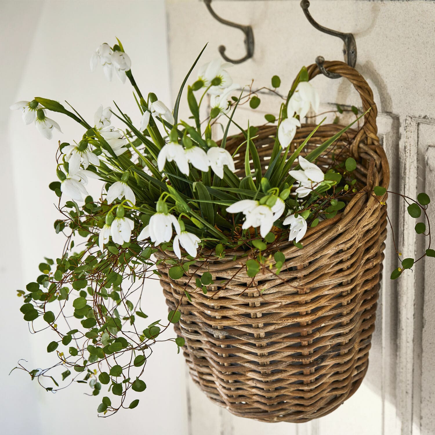 Set di 12 fiori decorativi Willmare