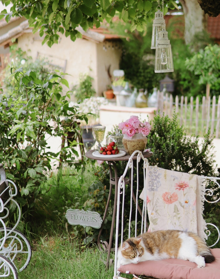 Giardino accogliente con tavolo in metallo, fiori rosa e gatto su cuscino rosa, decorazioni floreali