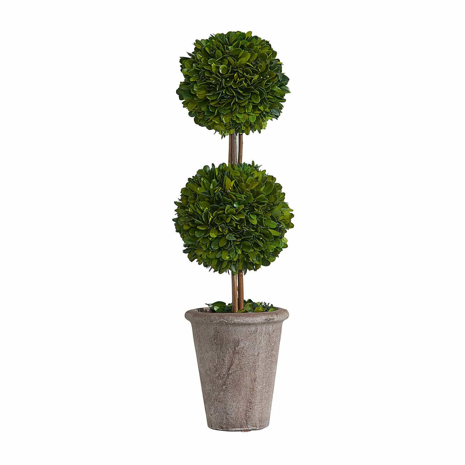 Alberello decorativo Noisse Albero artificiale di bosso in vaso di pietra grigia per decorazioni interne ed esterne