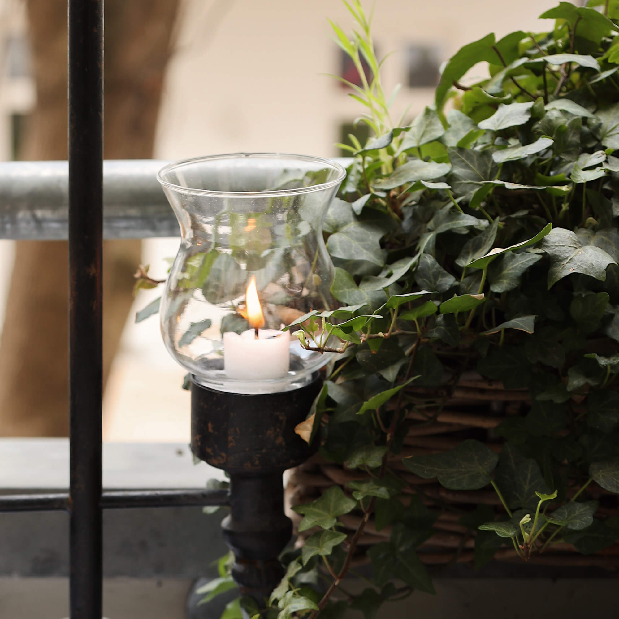 Lanterna in vetro con candela accesa su supporto in metallo accanto a edera verde sul balcone