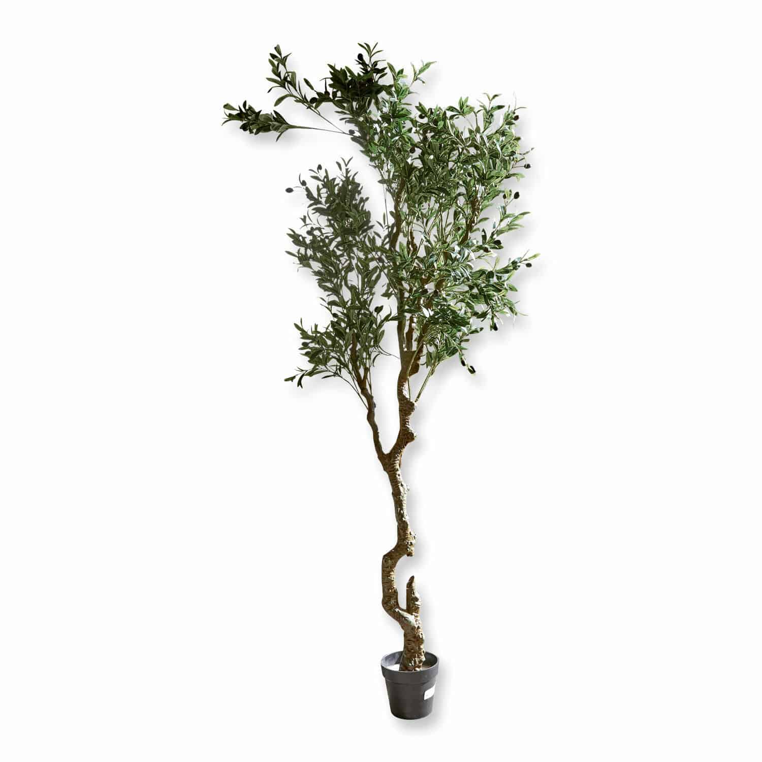 Pianta in vaso decorativa Dambly Albero di ulivo artificiale in vaso nero con foglie verdi per decorazione d'interni