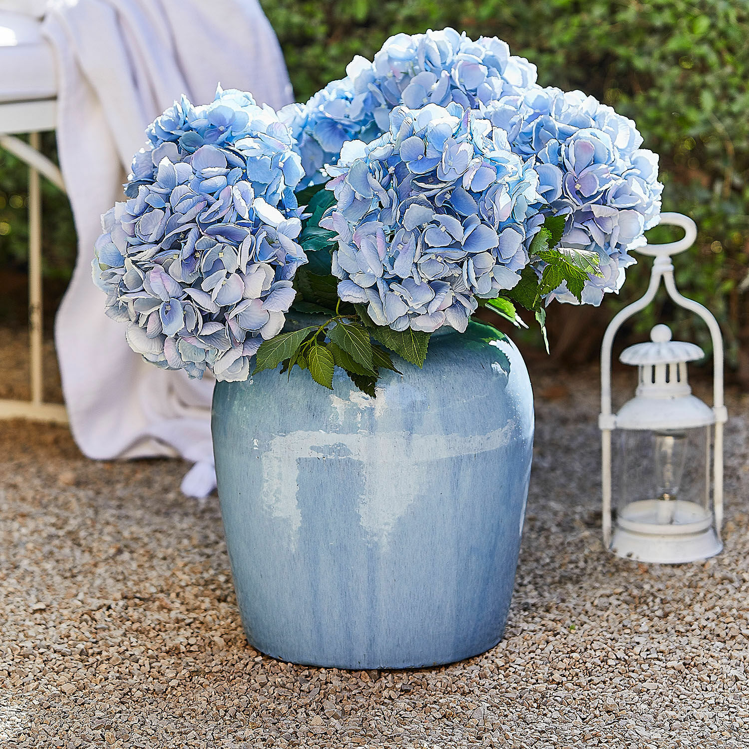 Vaso Uxemir Grande vaso in ceramica blu con mazzo di ortensie azzurre su ghiaia all'aperto