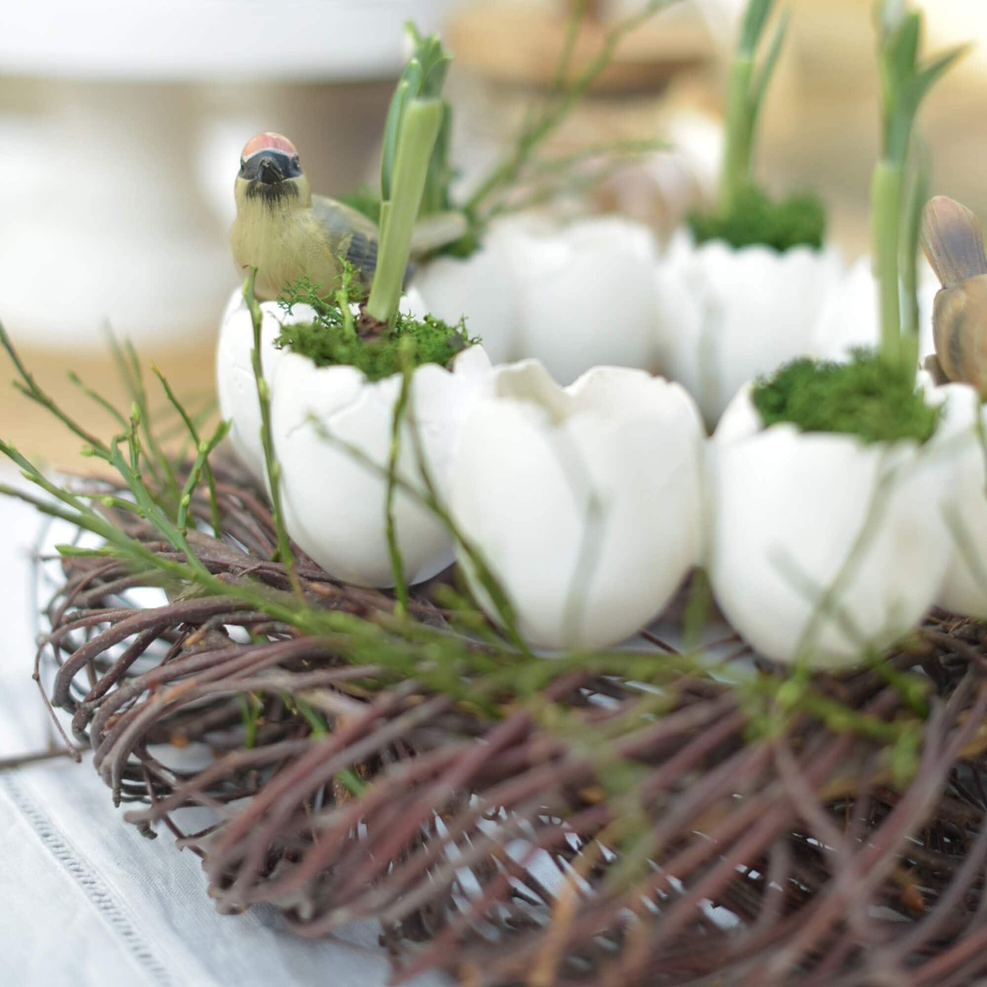 Corona decorativa con gusci d'uovo bianchi, muschio verde e uccello artificiale per Pasqua