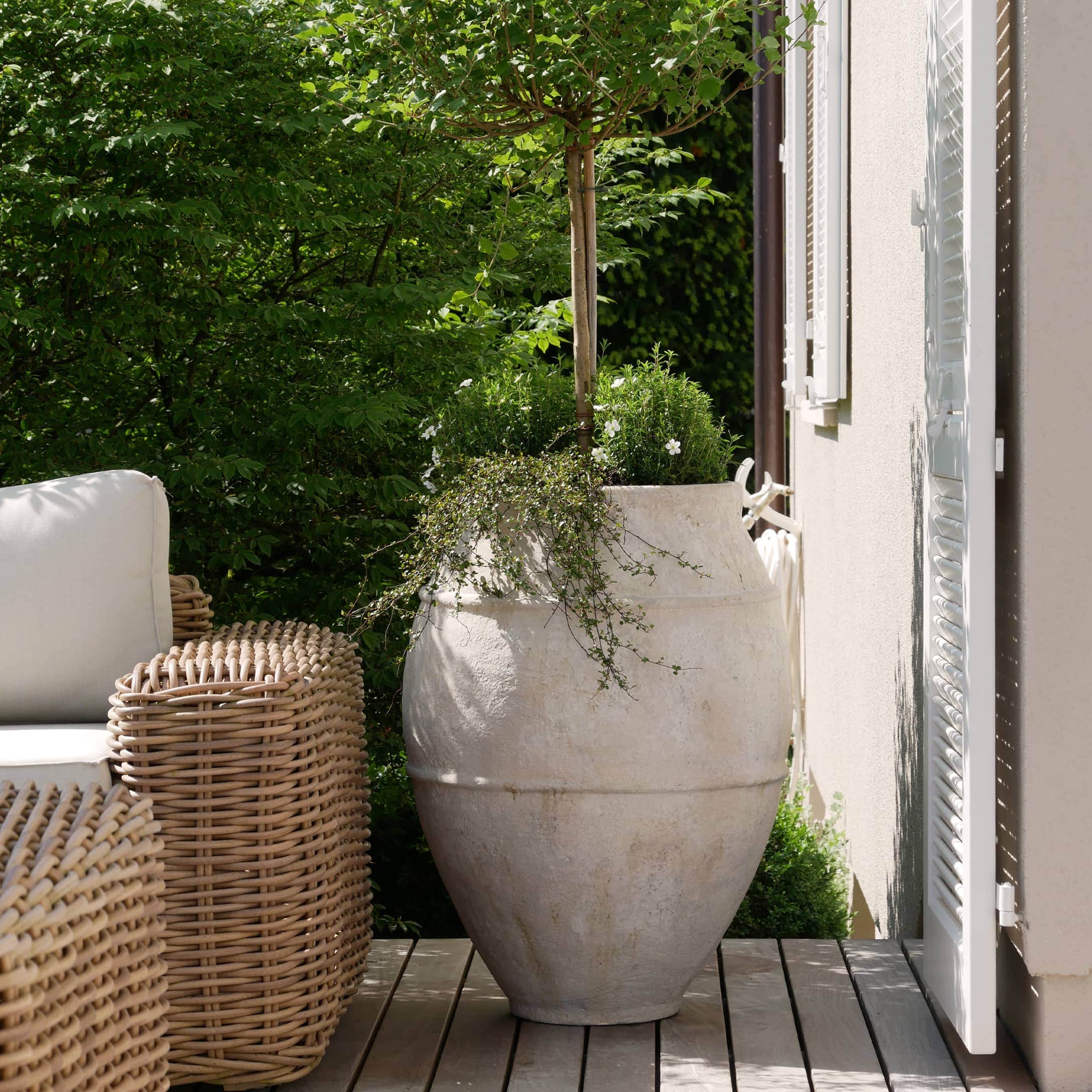 Grande vaso in ceramica bianca con albero verde su terrazza accanto a poltrona in vimini