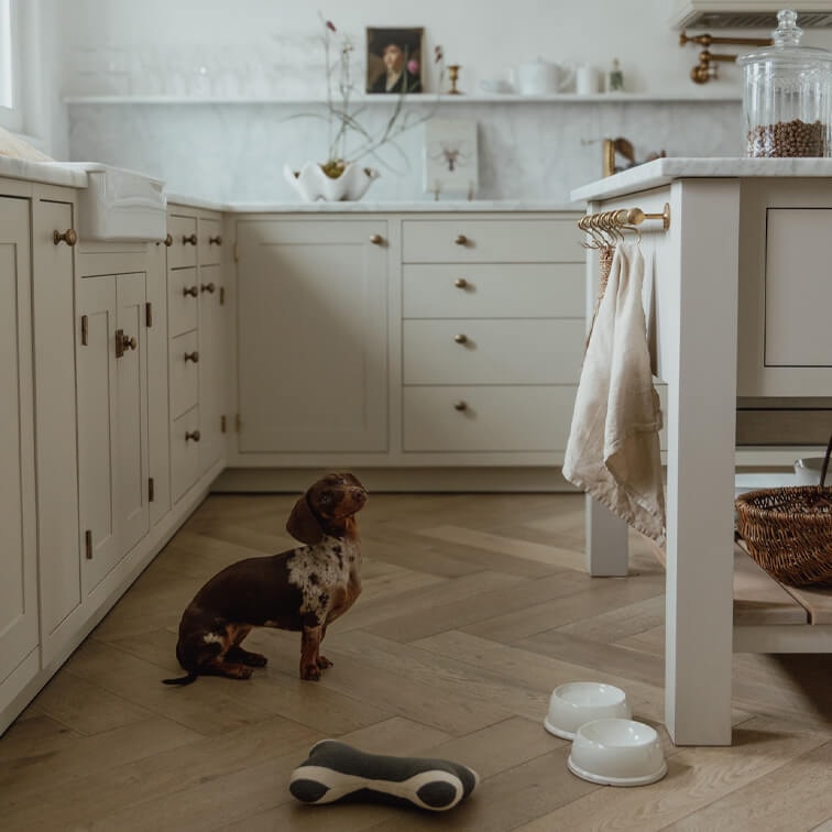 Cucina vintage con mobili bianchi e pavimento in legno, piccolo cane bassotto al centro