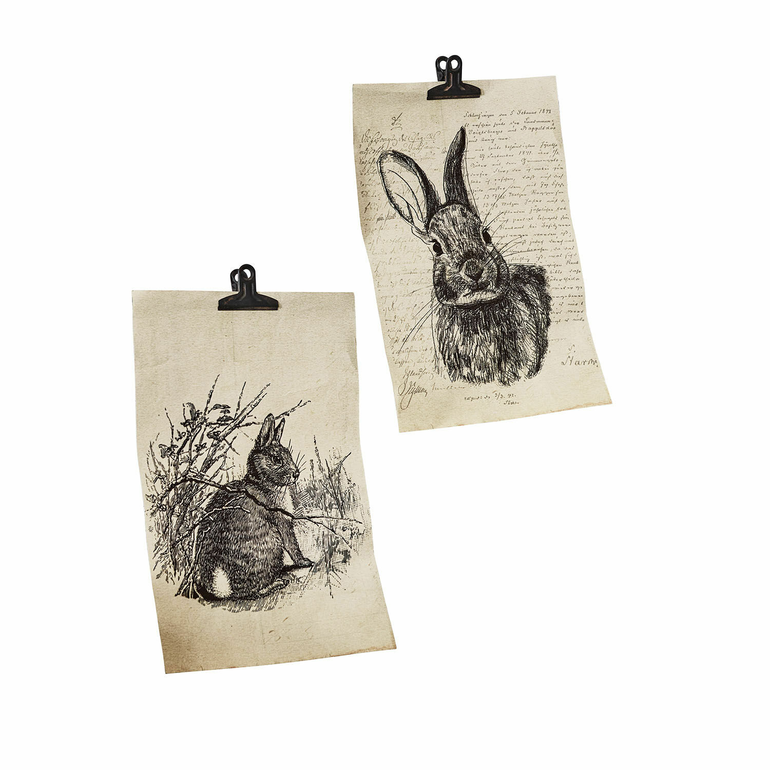 Coppia di immagini Meursault Due poster decorativi con disegni in bianco e nero di conigli su sfondo beige con clip