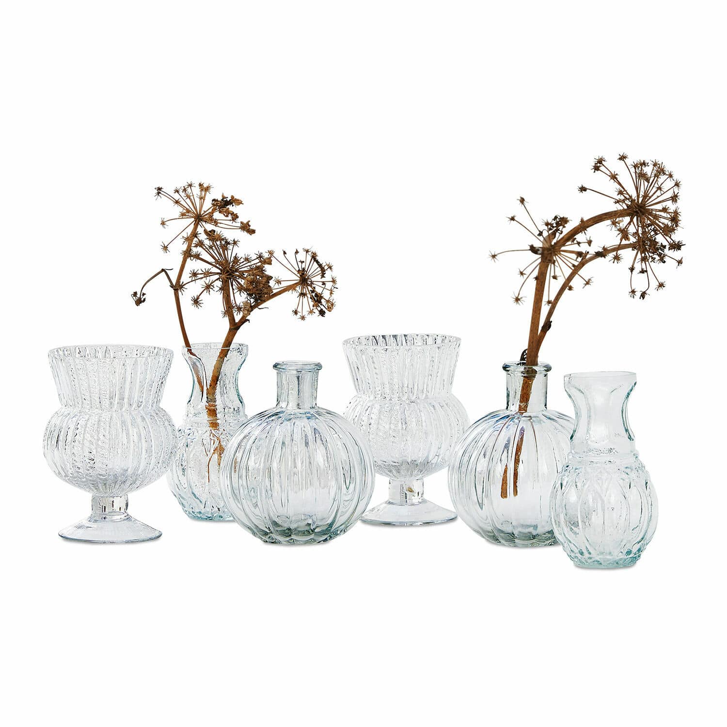 Set di sei vasetti Amber Set di sei vasi in vetro trasparente con fiori secchi, decorazione da tavolo elegante