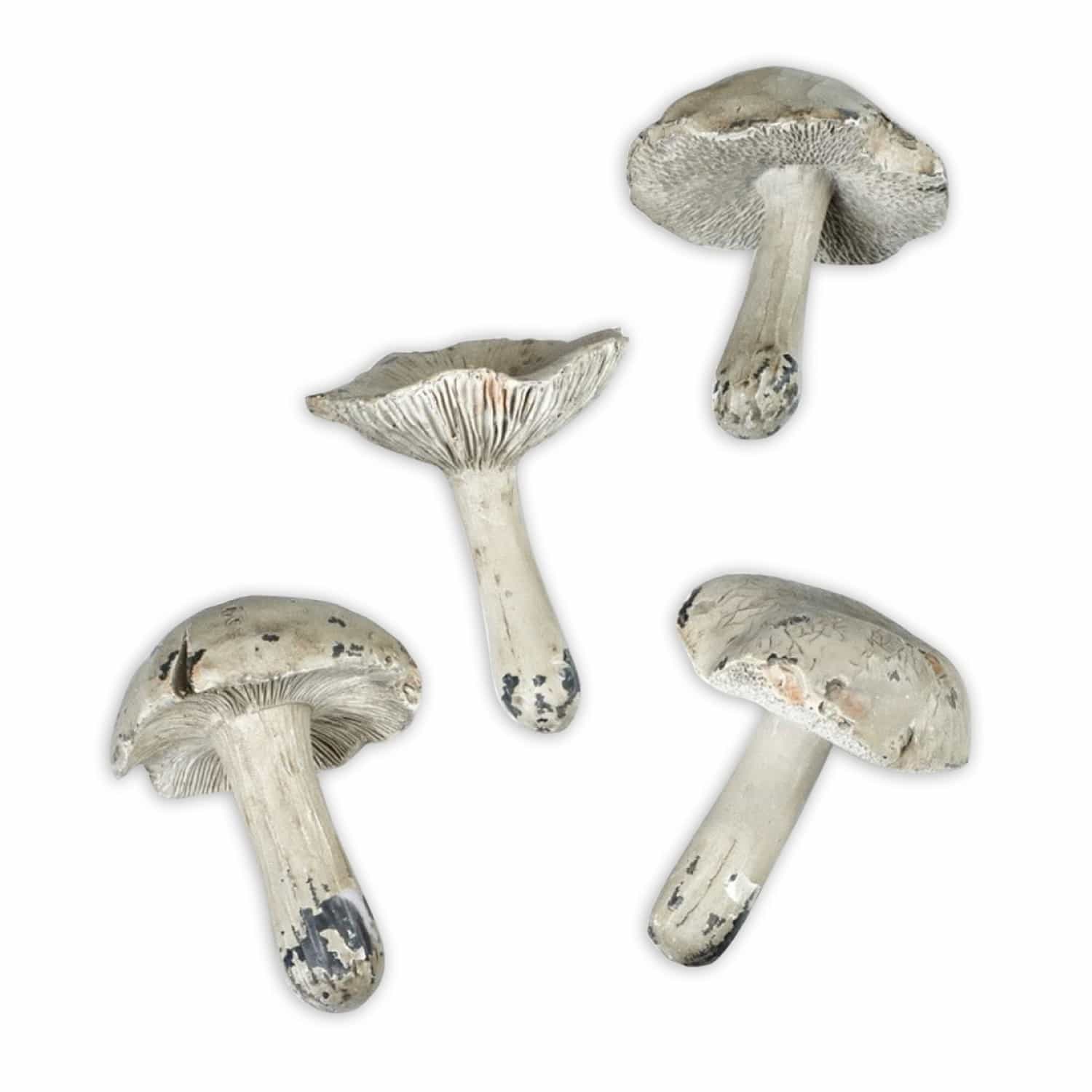 Set di 4 funghi decorativi Joca