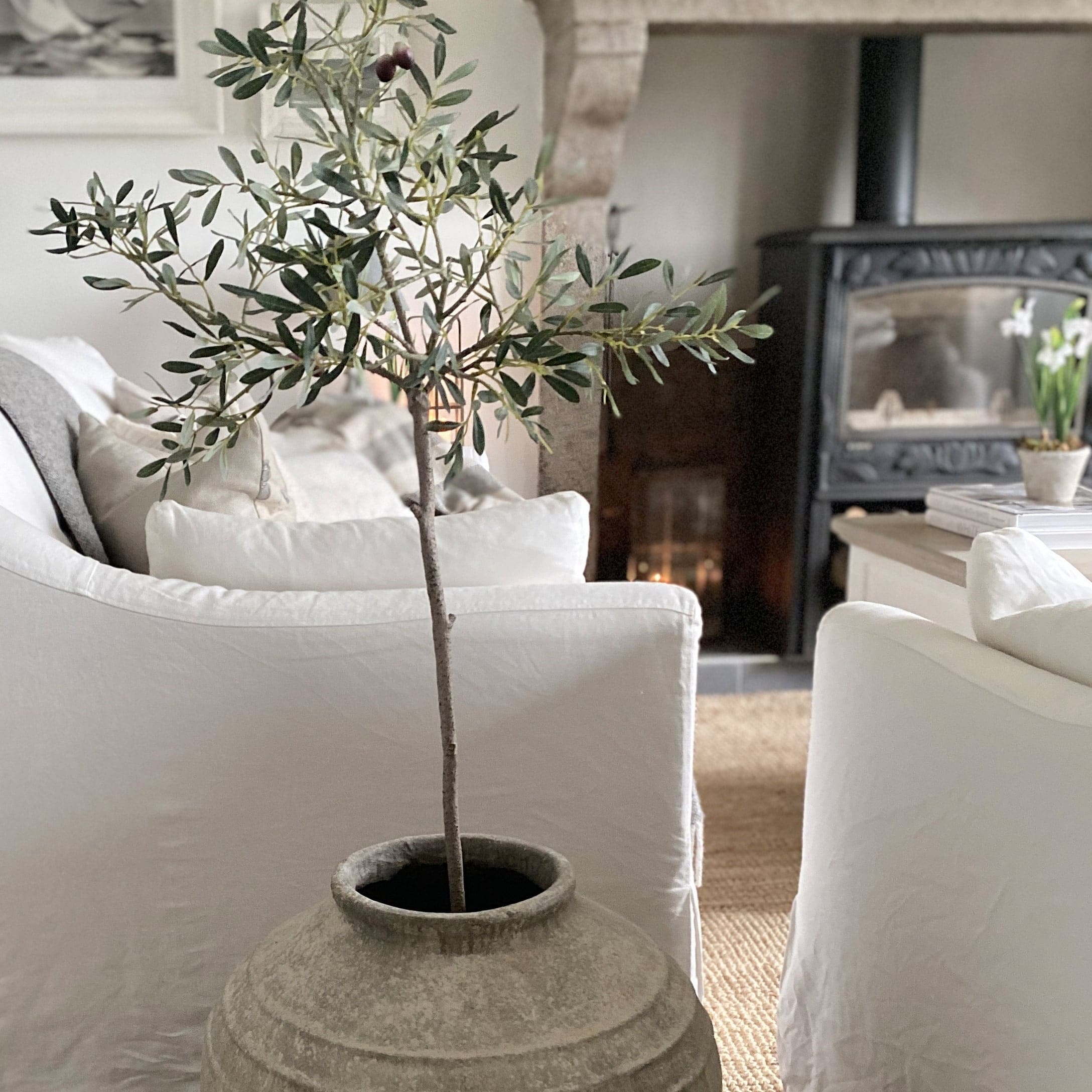 Olivo decorativo in grande vaso di ceramica grigia in soggiorno luminoso con camino