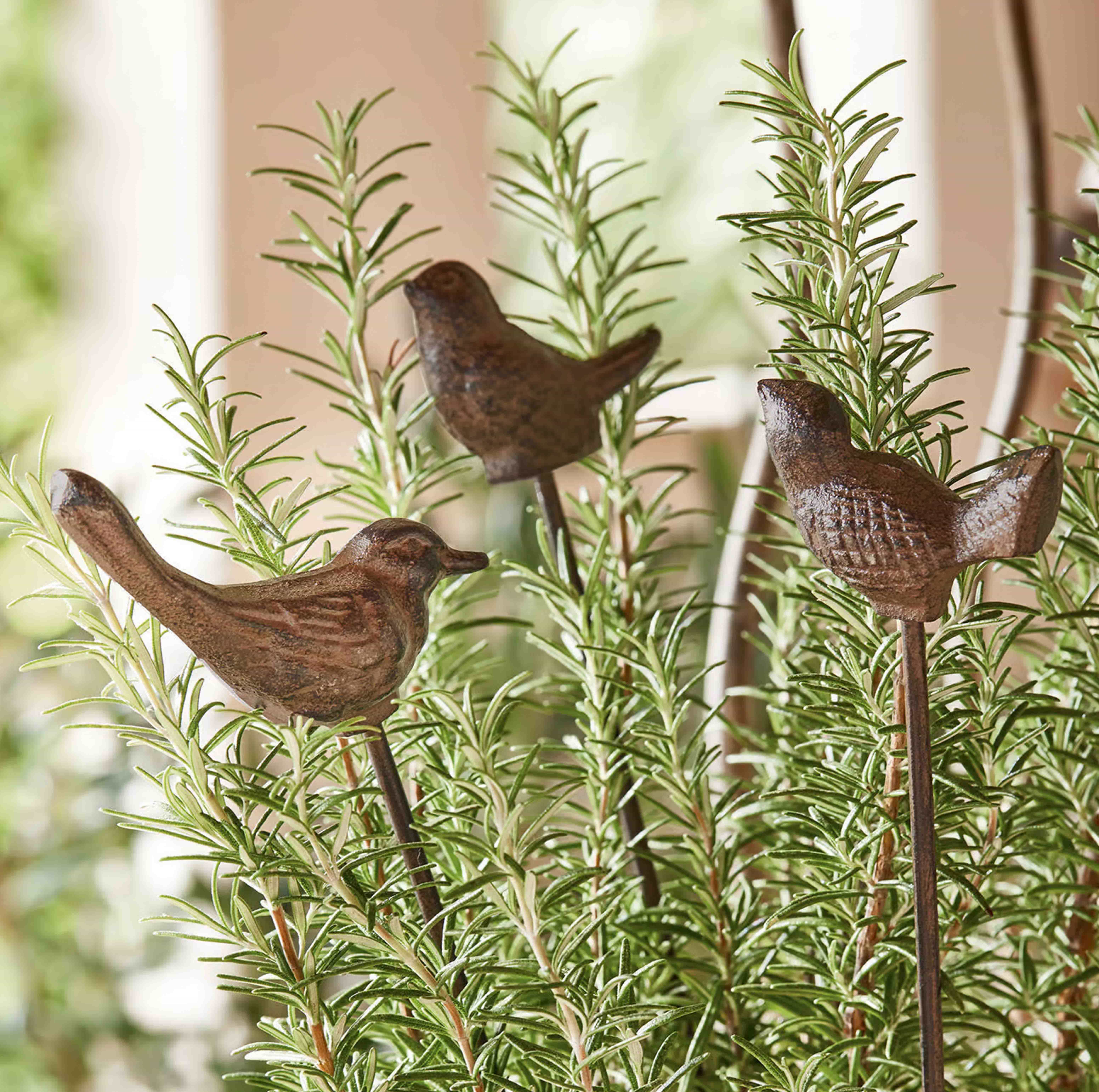 Uccelli decorativi in metallo su bastoncini tra rami verdi di rosmarino per giardino e casa