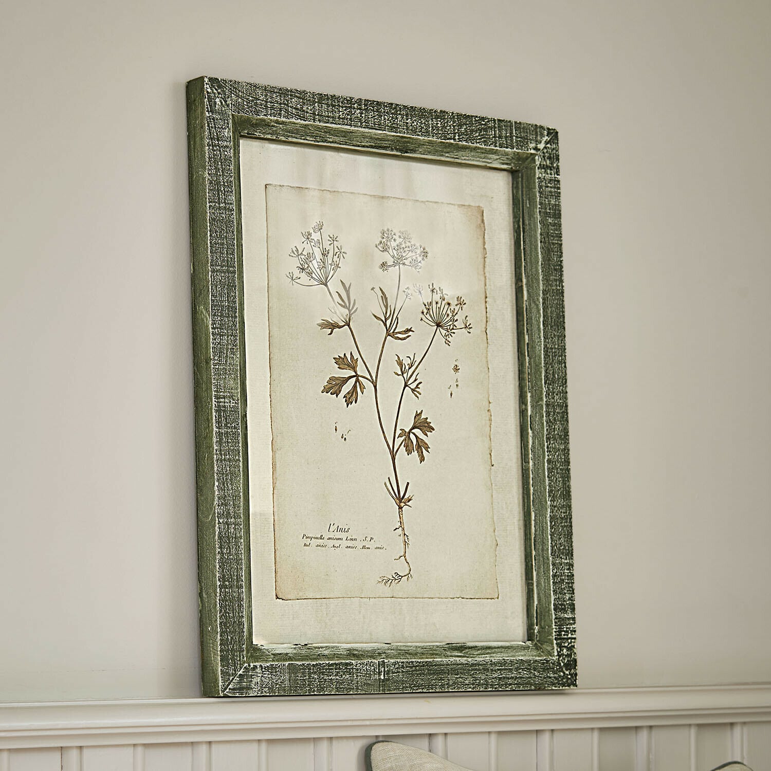 Stampa decorativa Kenwick Quadro botanico con cornice in legno verde e disegno di pianta su sfondo beige per decorazione murale