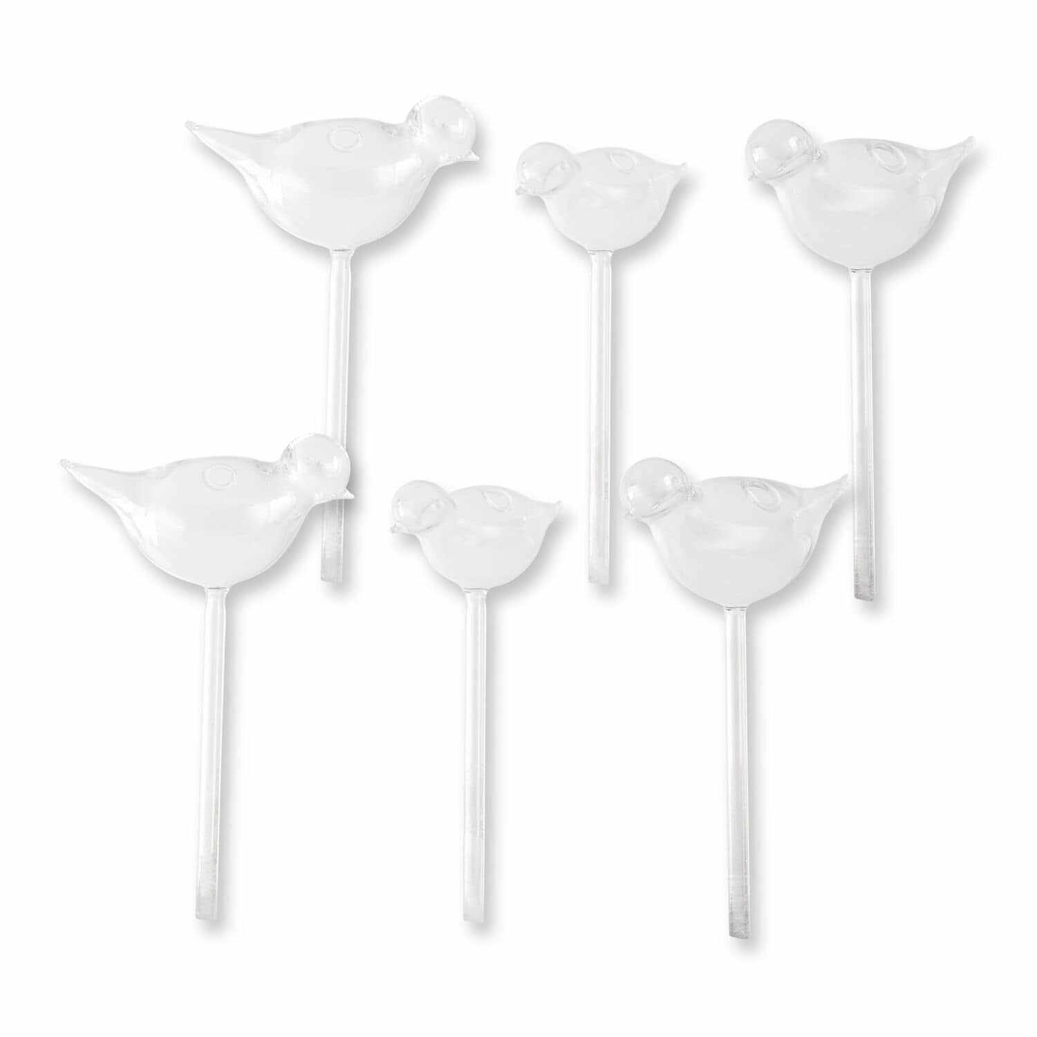 Set di 6 irrigatori a forma di uccellini Mouillé