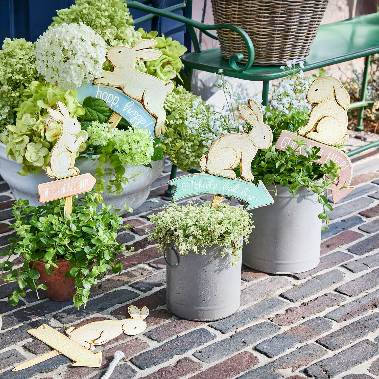 Set di 6 scudi Shevona