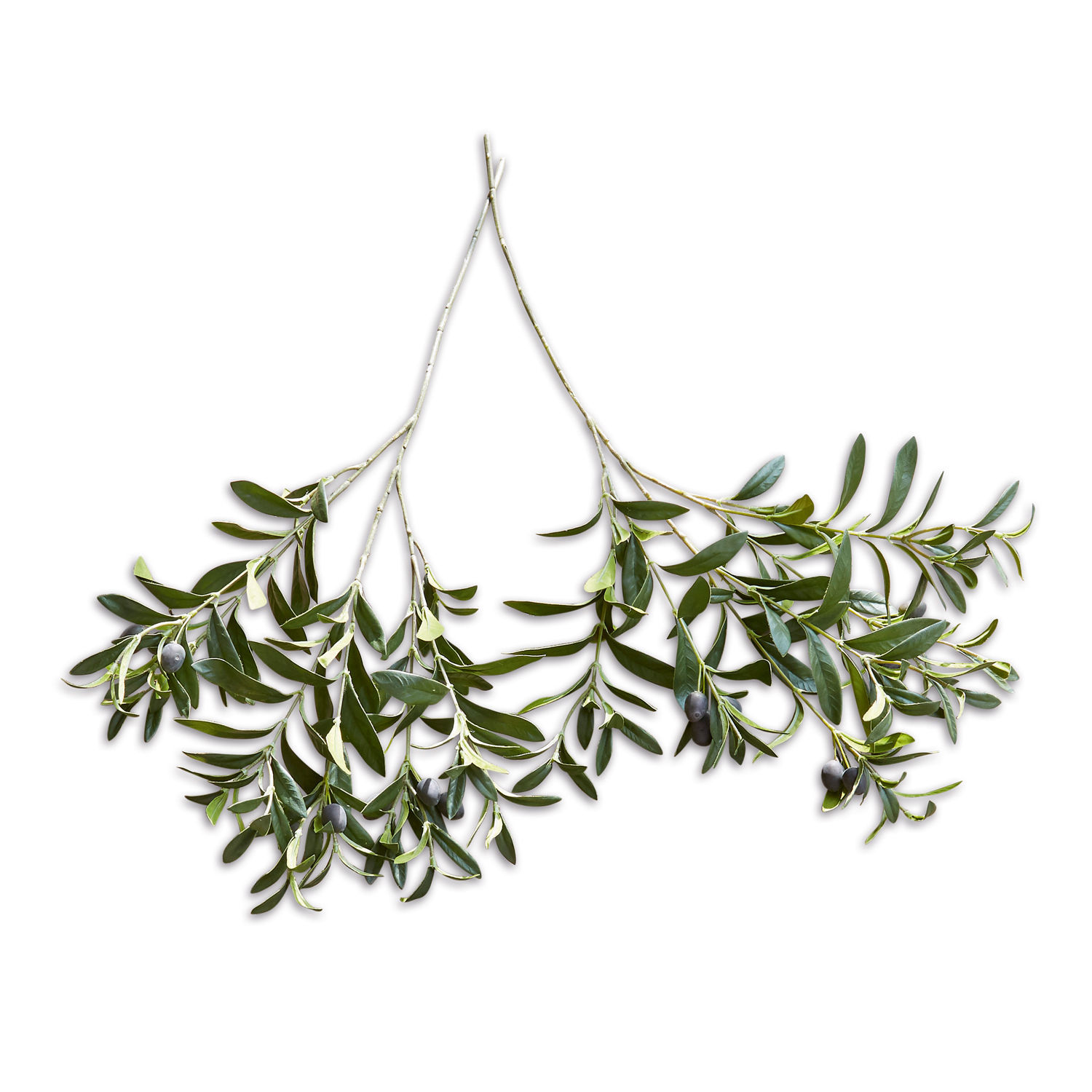 Coppia di rametti d’ulivo decorativi Olives