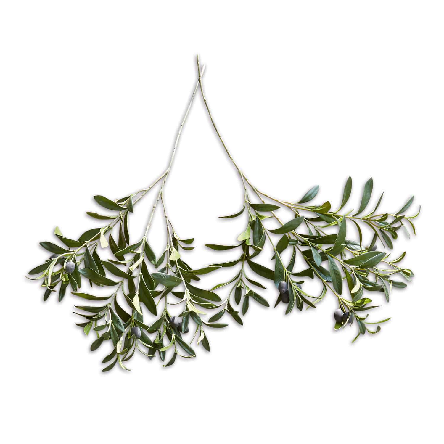 Coppia di rametti d’ulivo decorativi Olives Rami di ulivo con foglie verdi e olive nere su sfondo bianco, decorazione naturale
