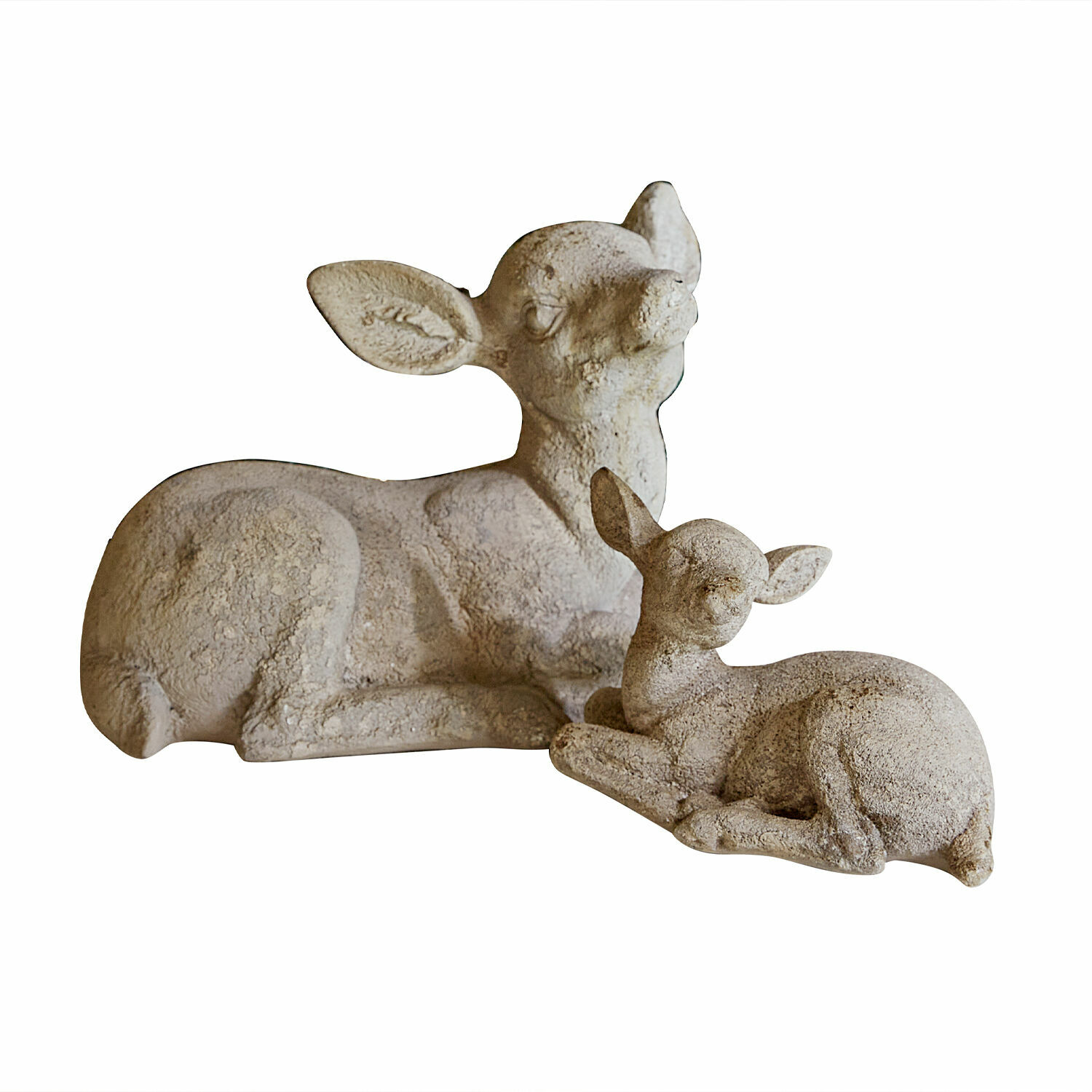 Capriolo con cucciolo Thaloria