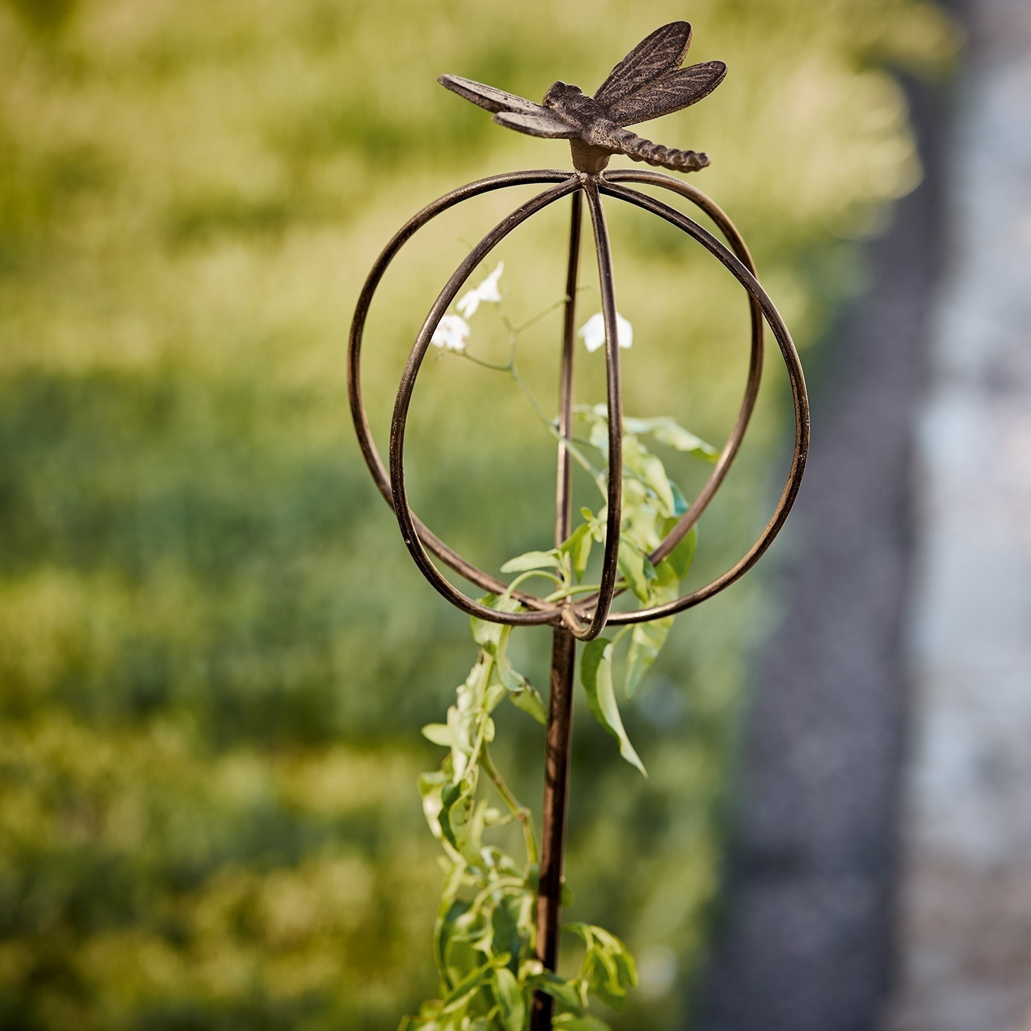 Asta da giardino Libelle
