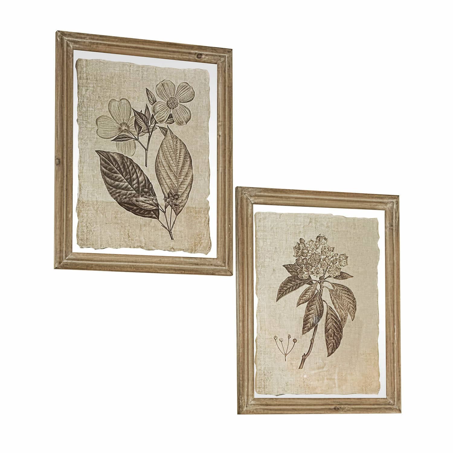 Coppia di quadri Guyra Set di due stampe botaniche con foglie marroni su sfondo beige in cornici di legno