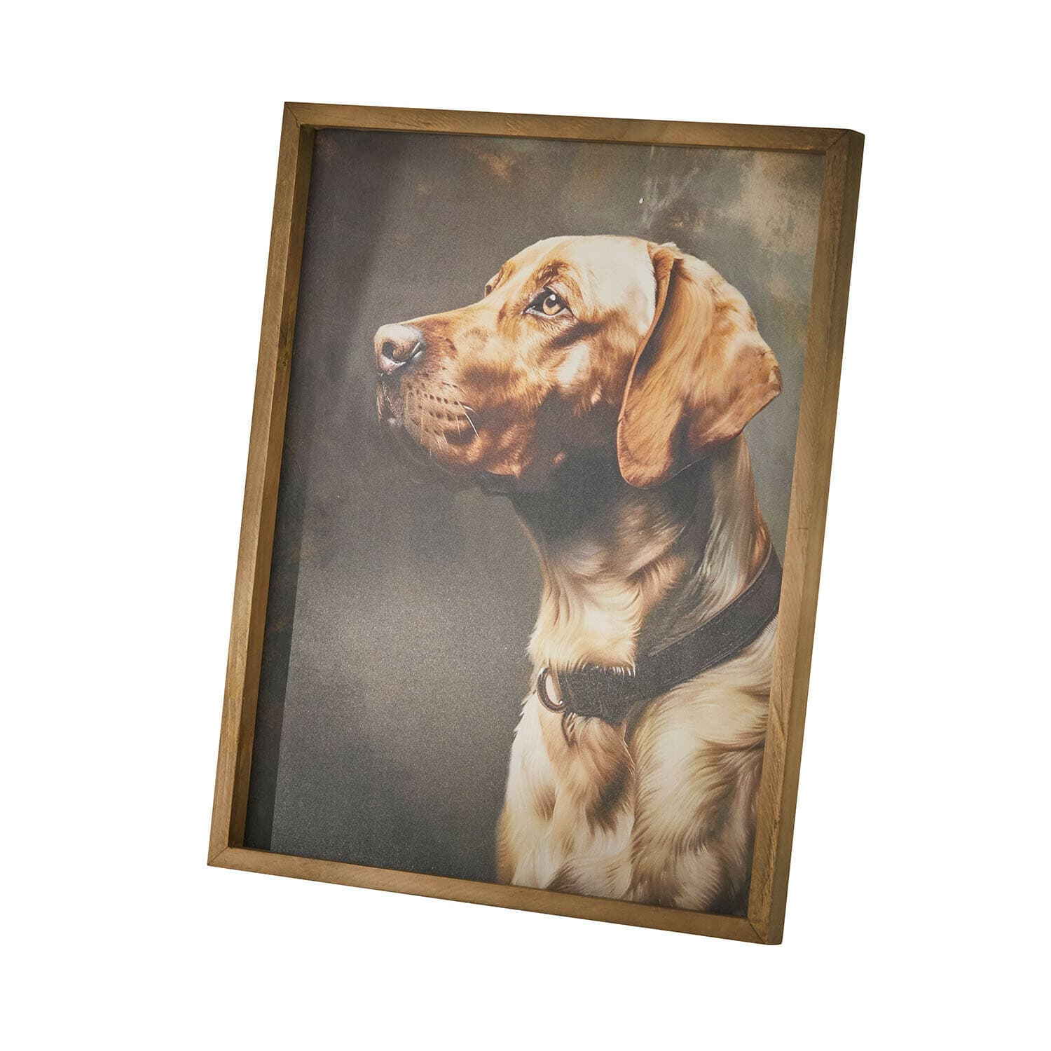 Quadro Purrana