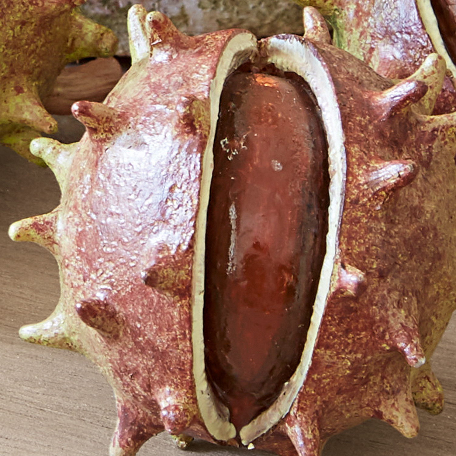Set di 5 castagne decorative Léo