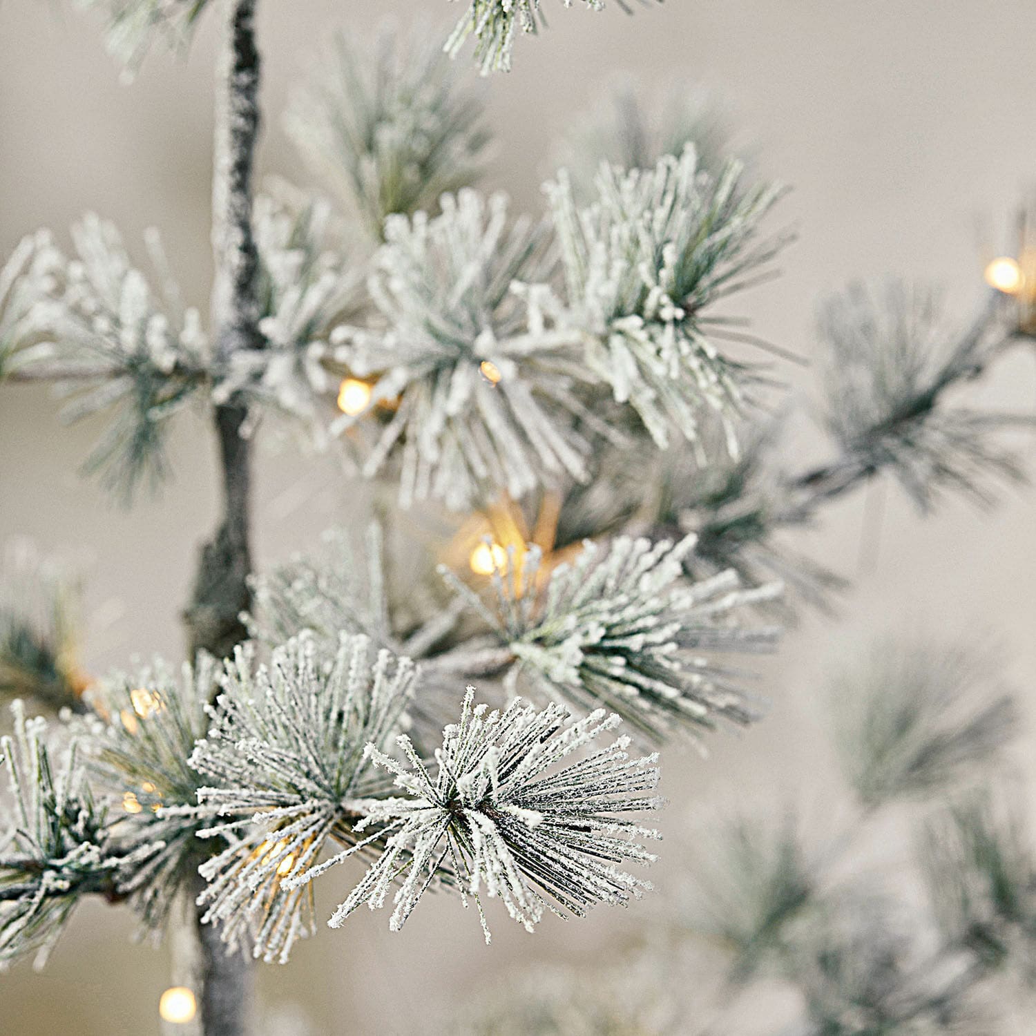 Albero di Natale Falkirk