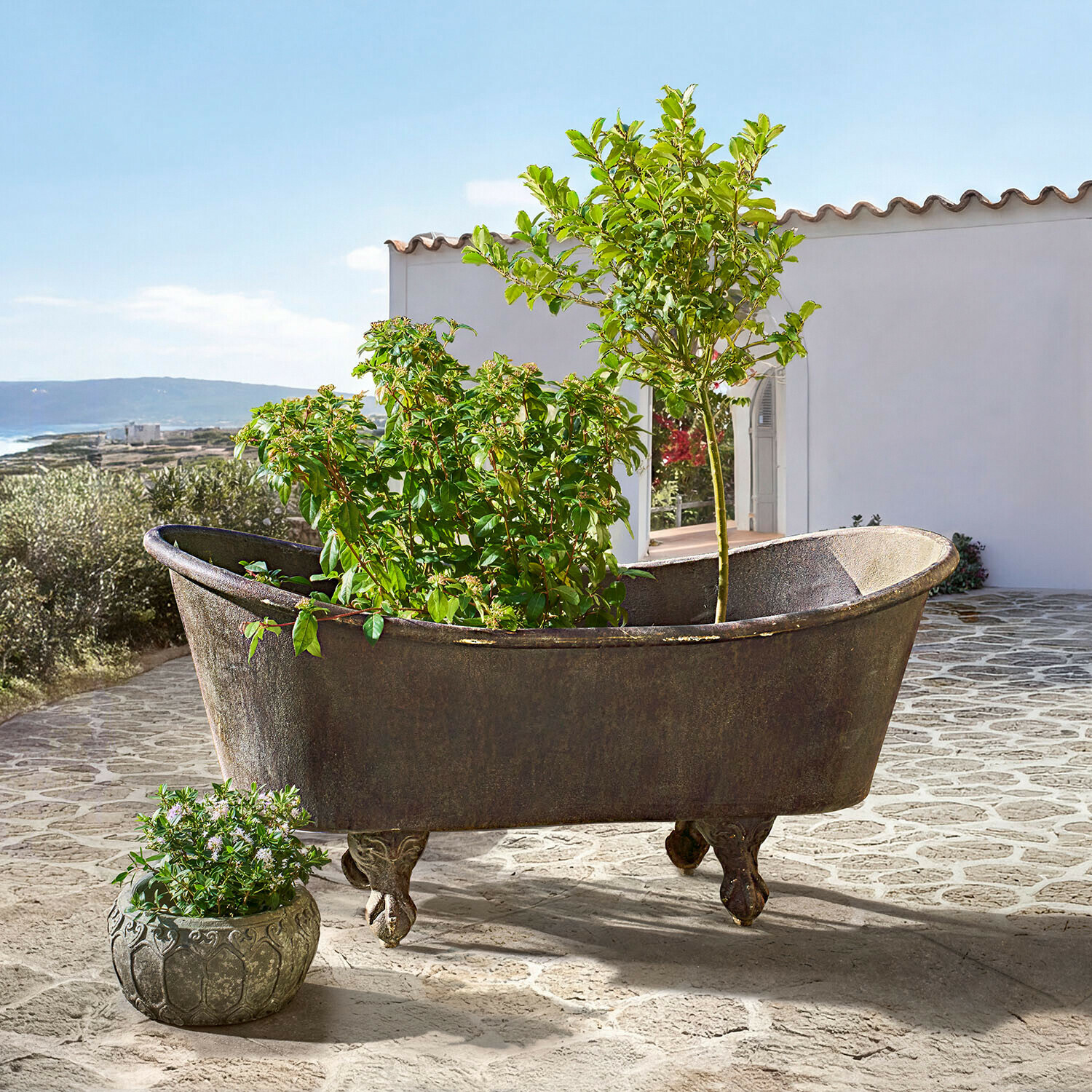 Fioriera Brånholm Vecchia vasca da bagno in ghisa con piedi decorativi usata come vaso con piante verdi su terrazza
