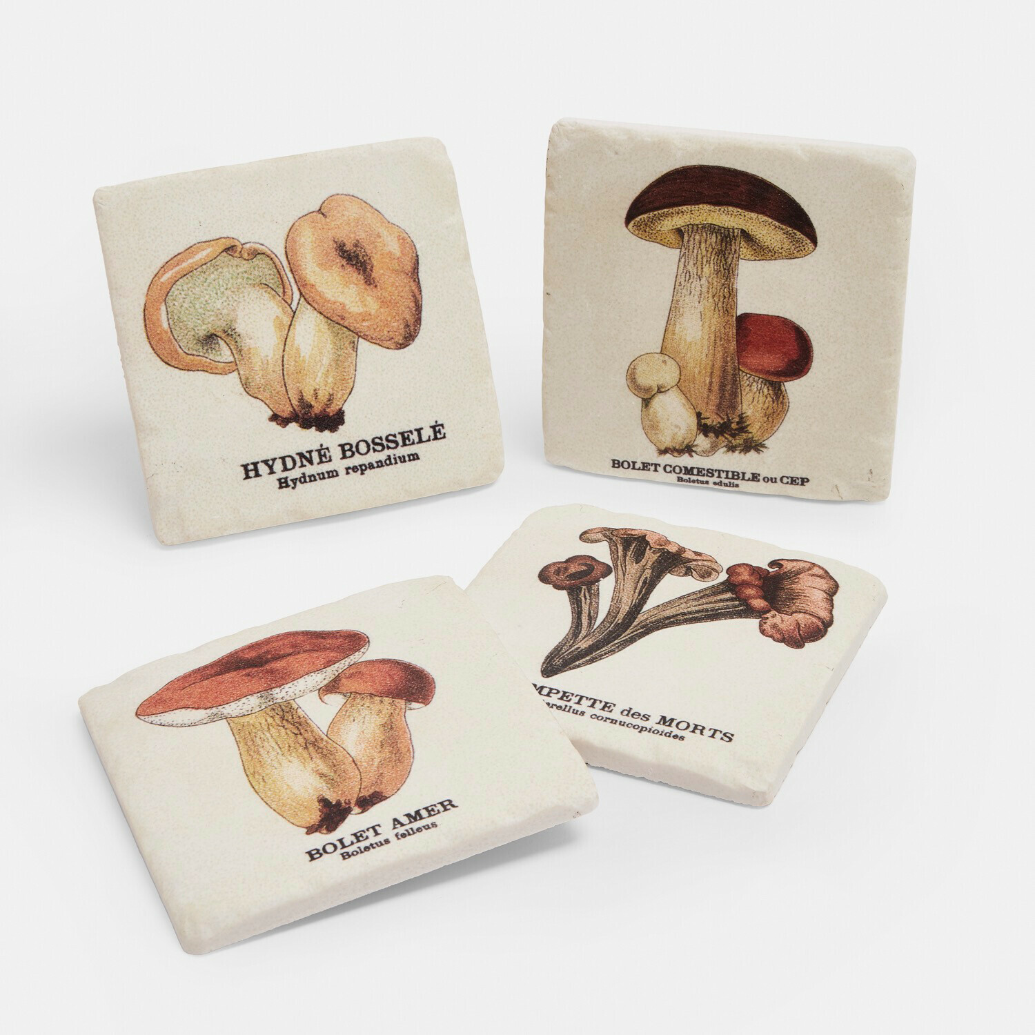Set di 4 sottobicchieri Jandoria