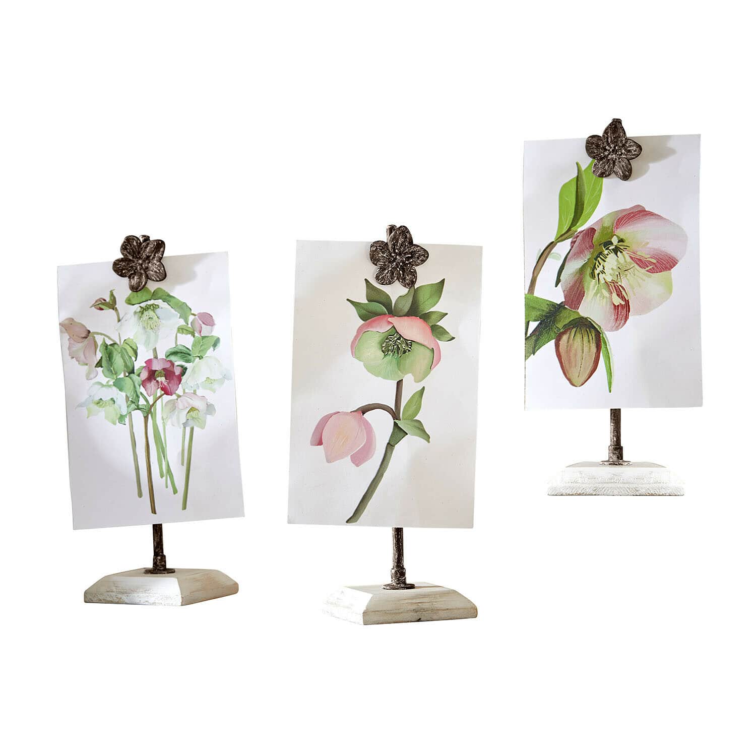 Set di 3 stampe con portafoto Serafinas Tre supporti con clip a forma di fiore su basi bianche con illustrazioni floreali