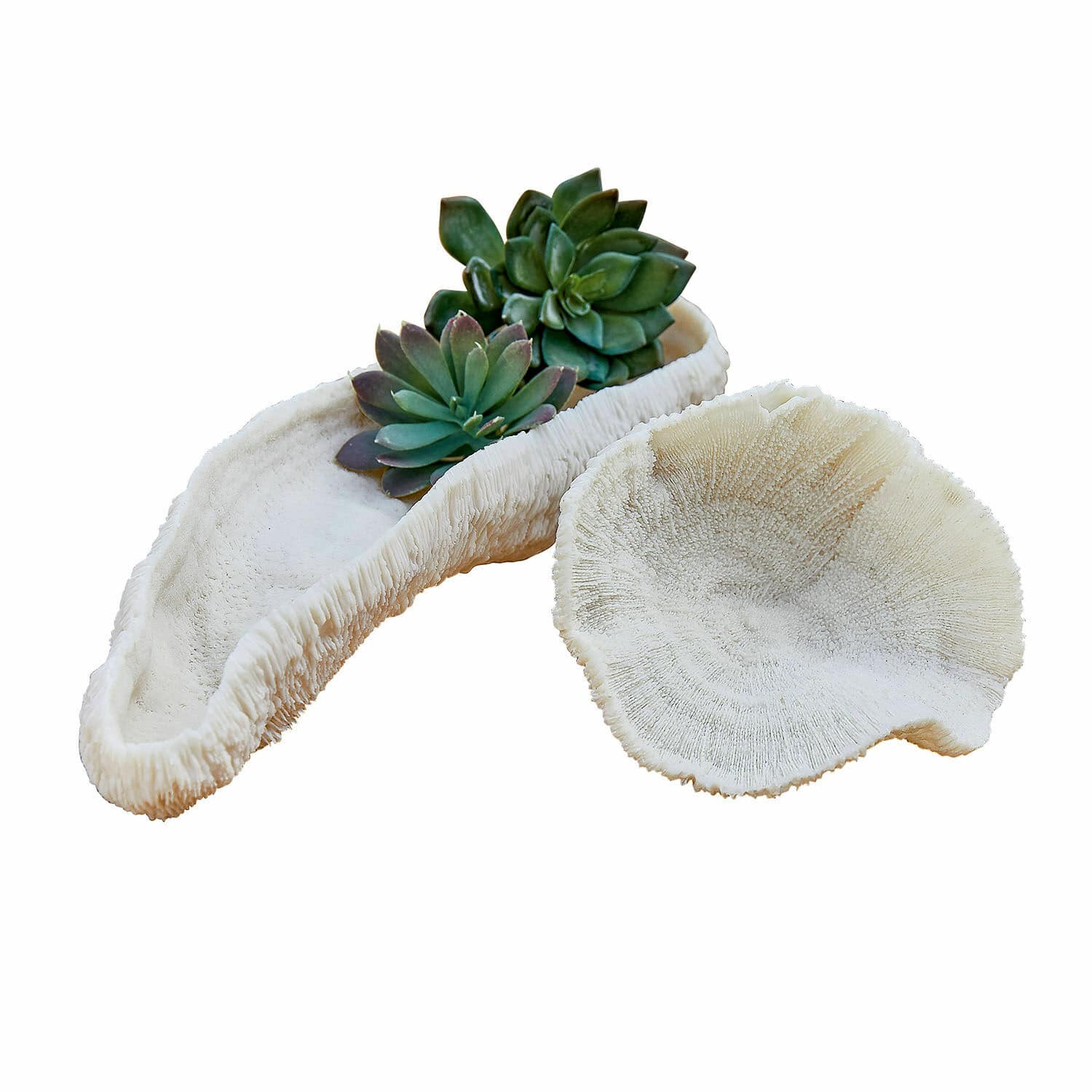 Coppia di ciotoline decorative Faro