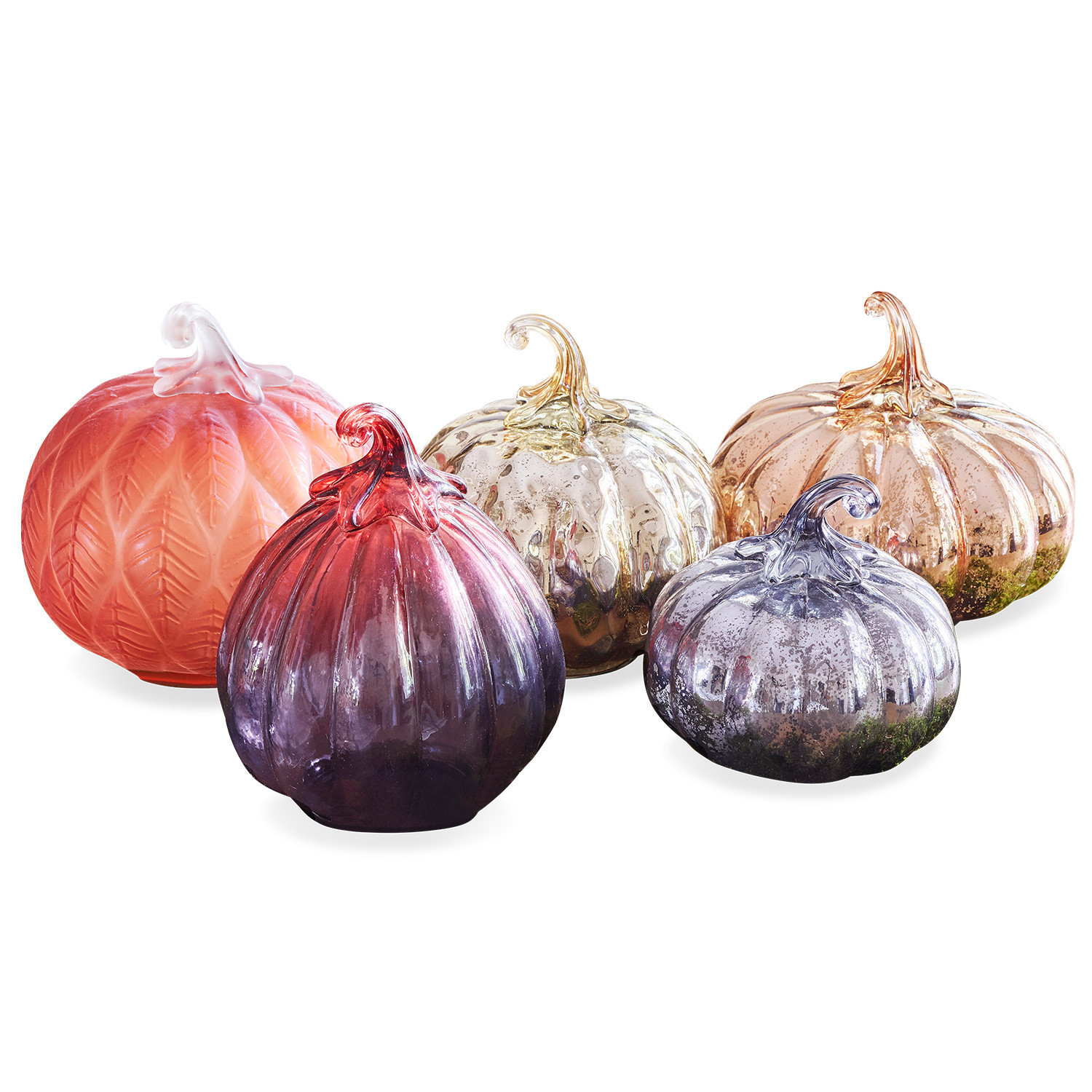 Set di 5 zucche Lorenz