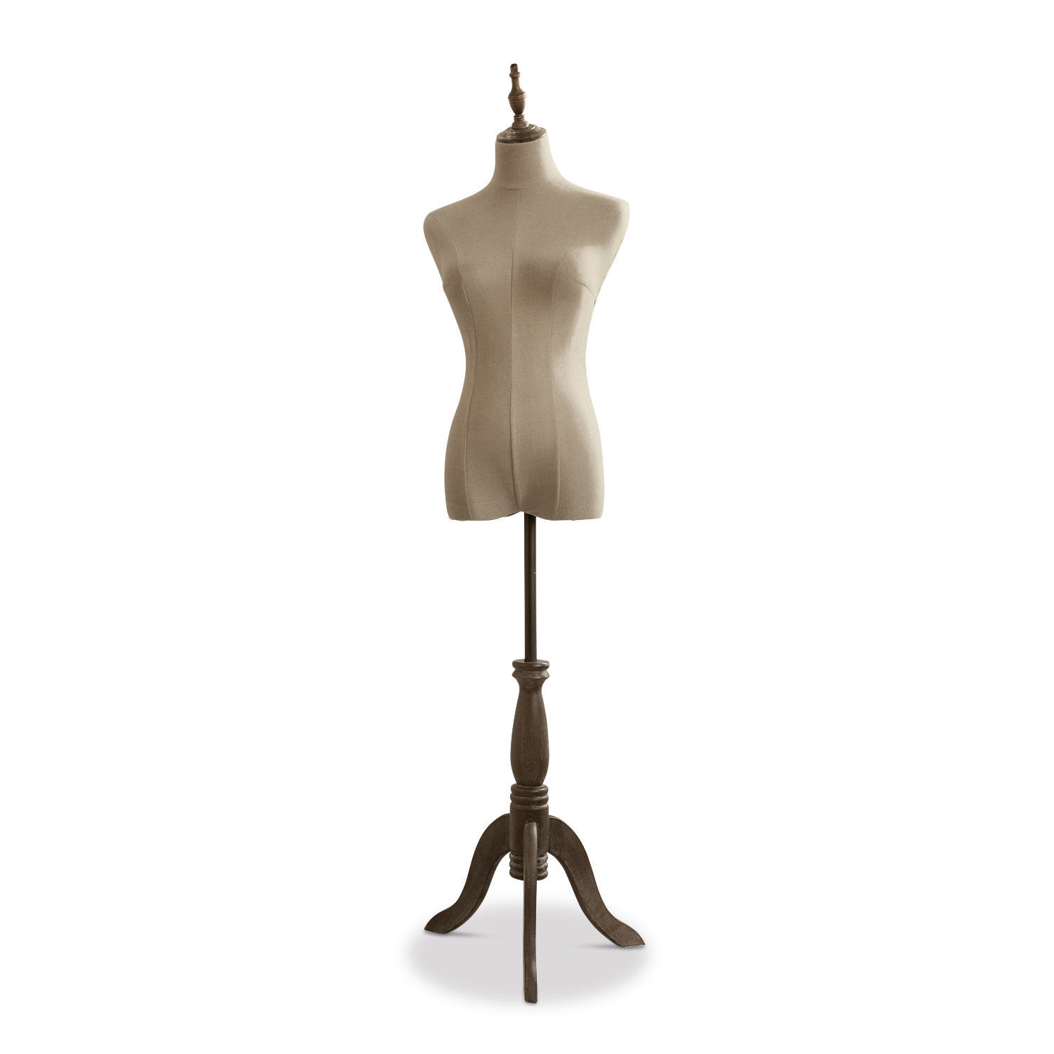 Busto sartoriale Sneider