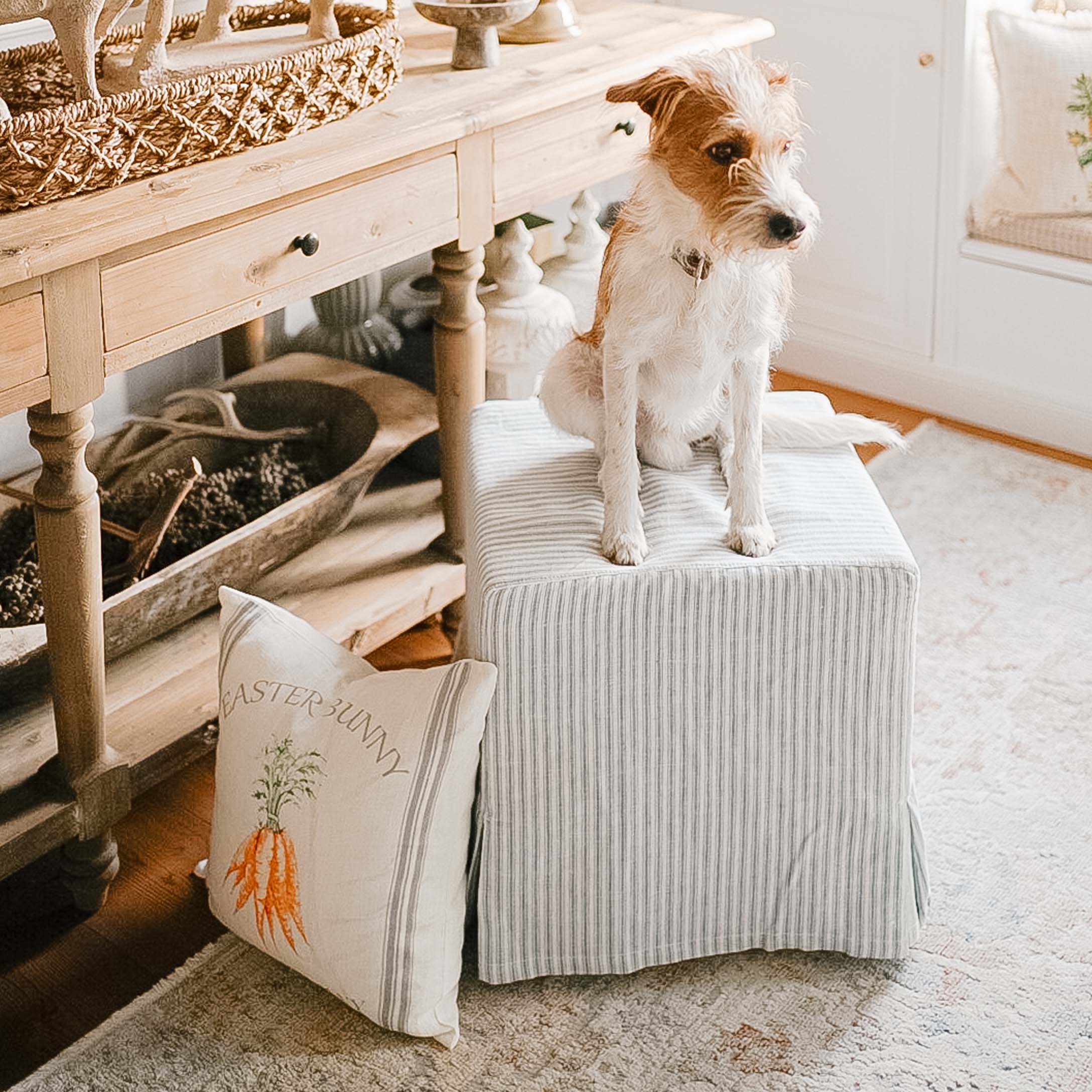 Pouf a righe in tessuto bianco e grigio con cane seduto accanto a cuscino decorativo con carote