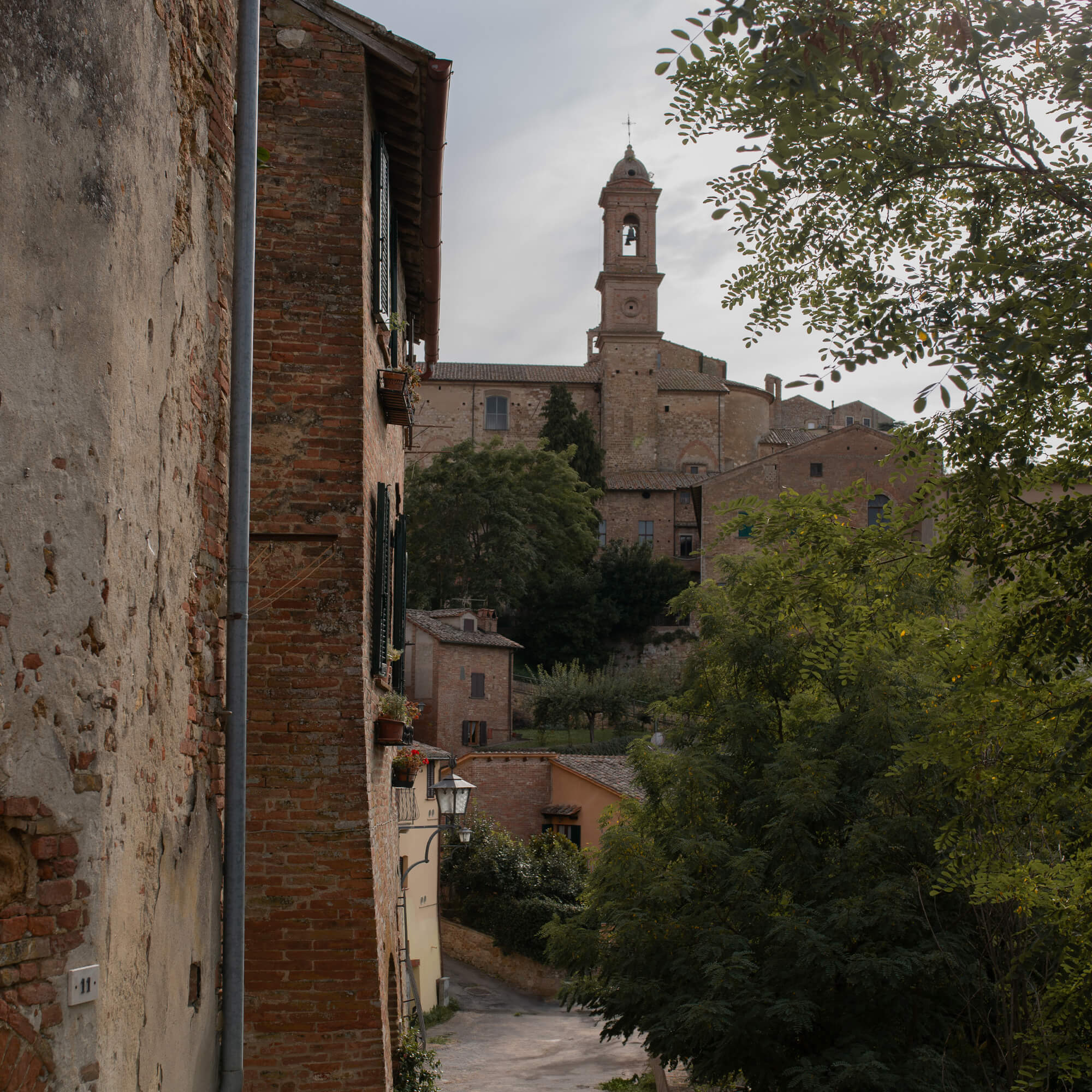 Vista di una vecchia strada in pietra con edifici in mattoni e campanile sullo sfondo, natura e architettura