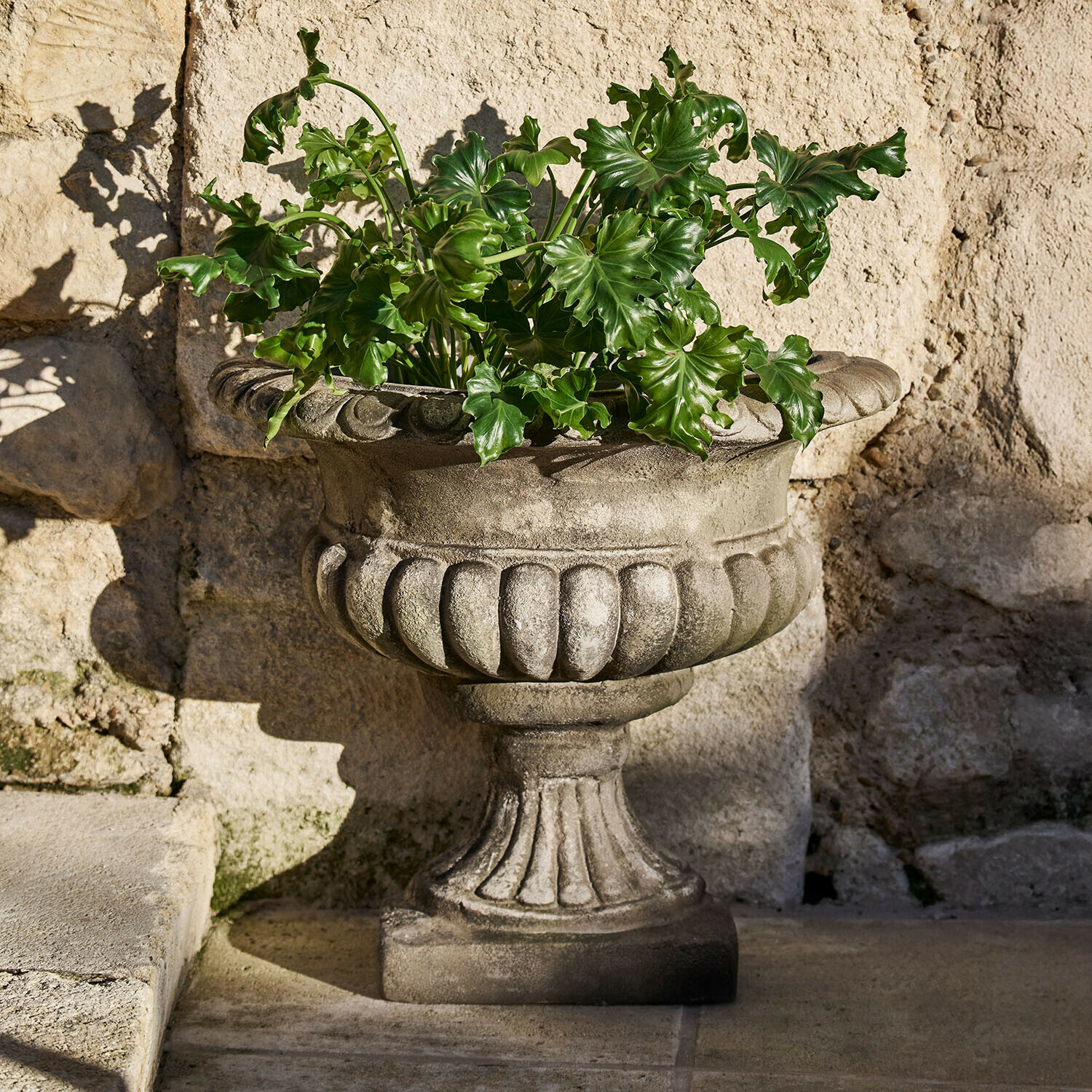 Vaso decorativo in pietra grigia con foglie verdi davanti a un muro di pietra