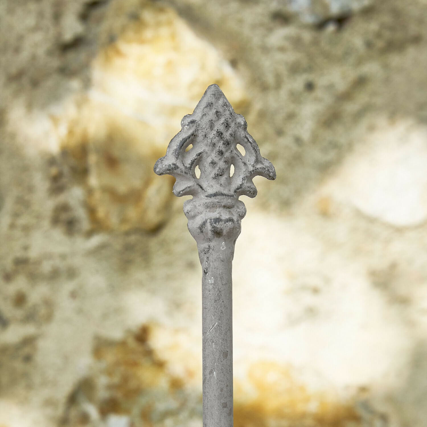 Traliccio per rampicanti Ormisse