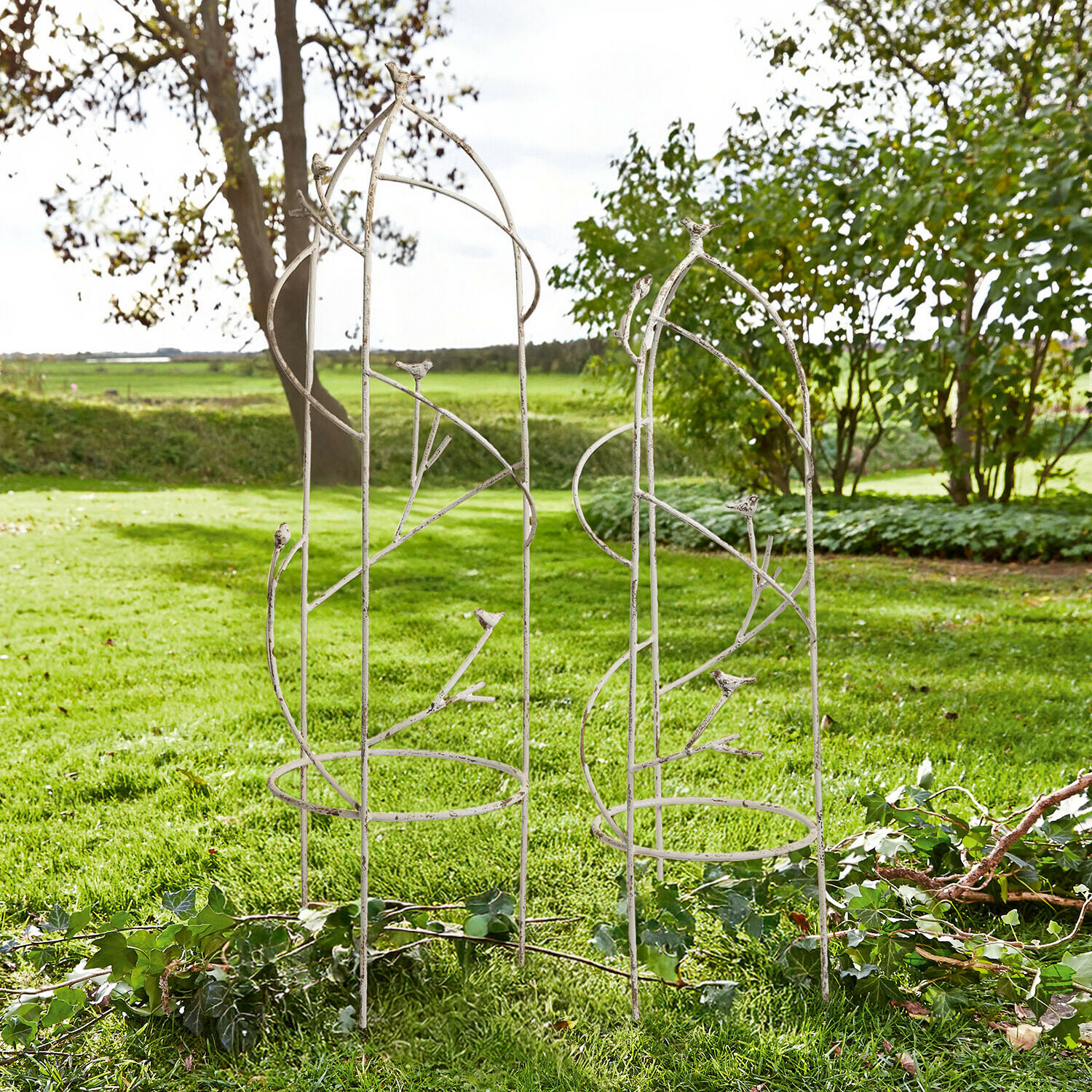 Coppia di supporti per rampicanti Cresselay Pergola da giardino in metallo bianco con decorazioni a forma di uccelli, supporto per piante rampicanti