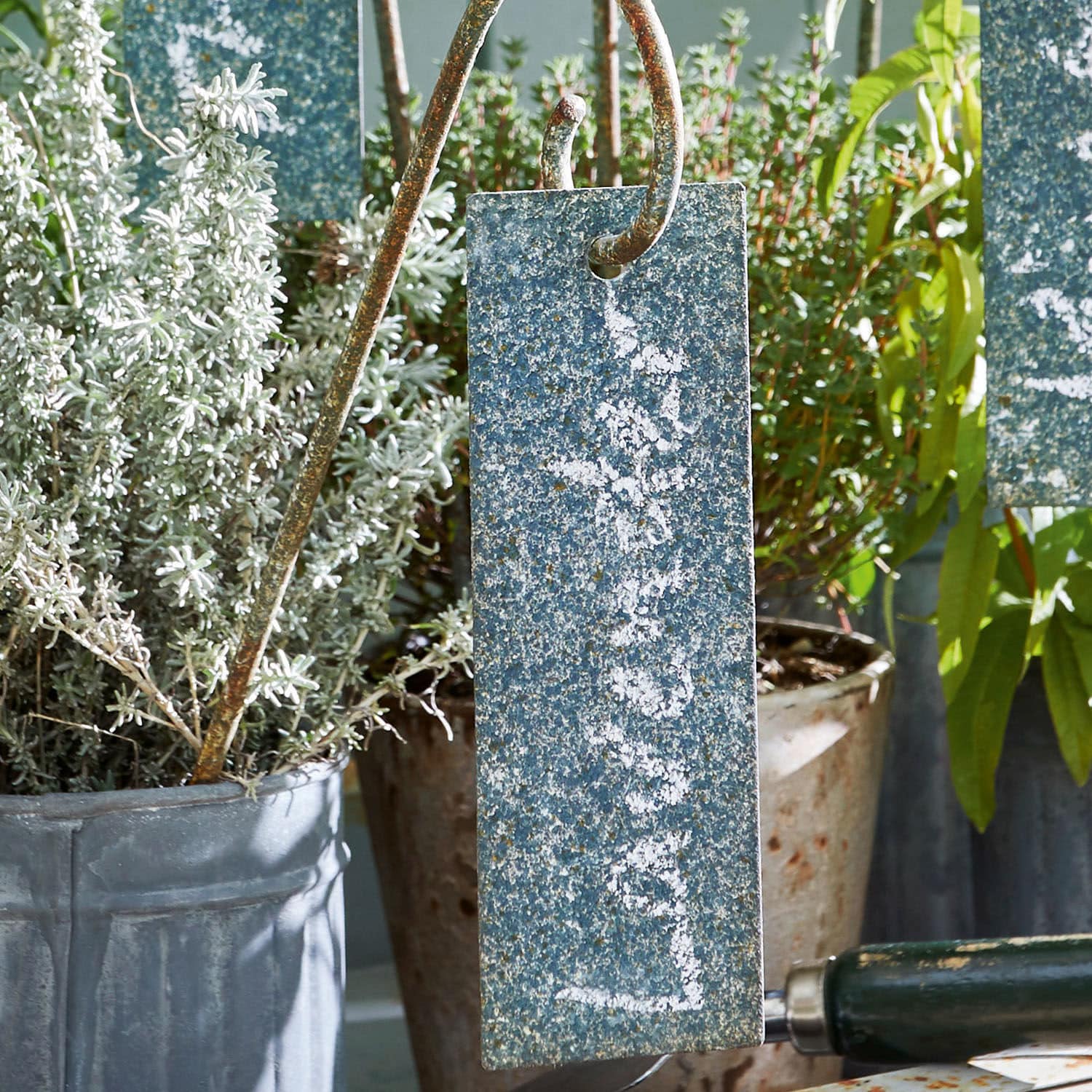 Set di 6 etichette per piante aromatiche Sefrou