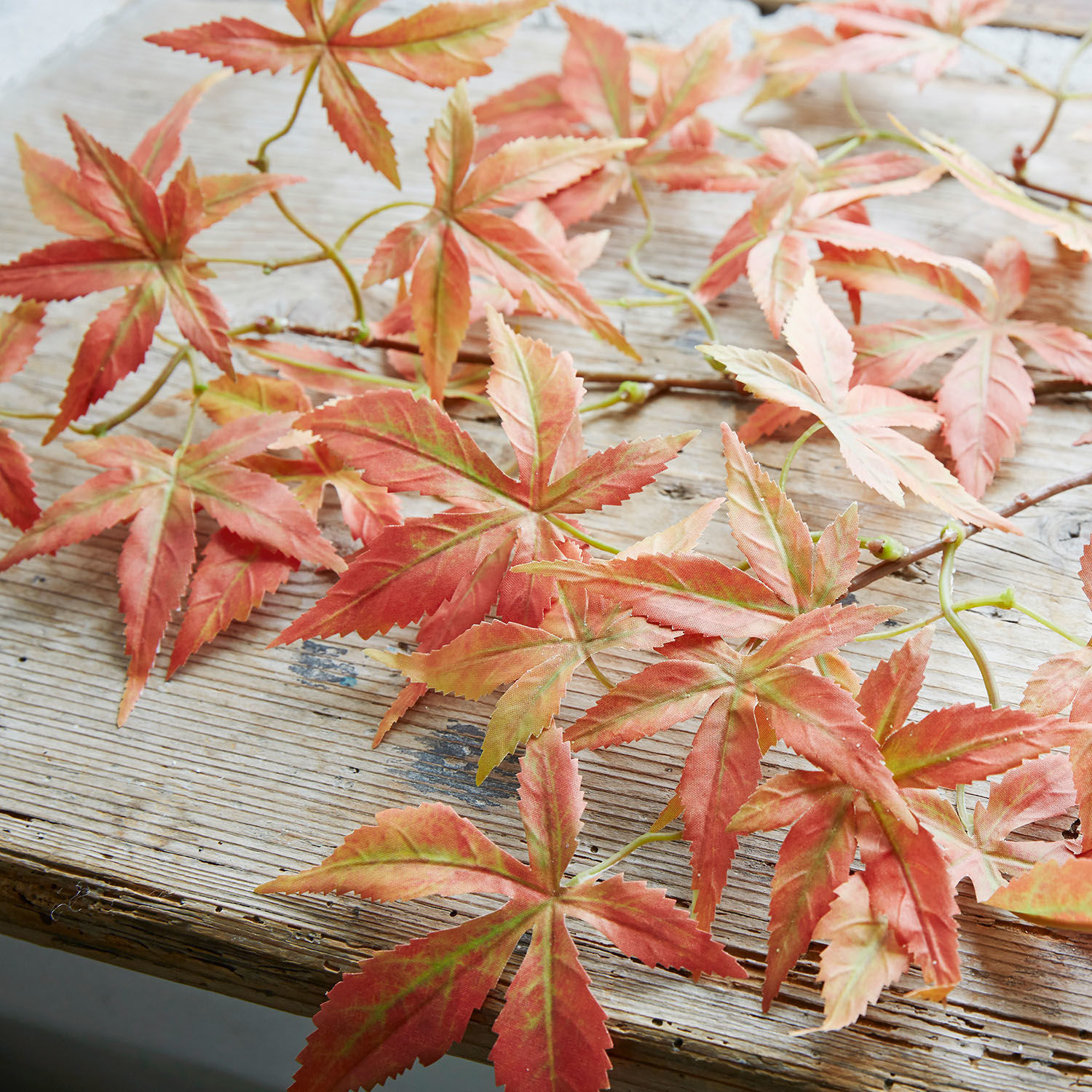 Coppia di ramoscelli decorativi Reddiere