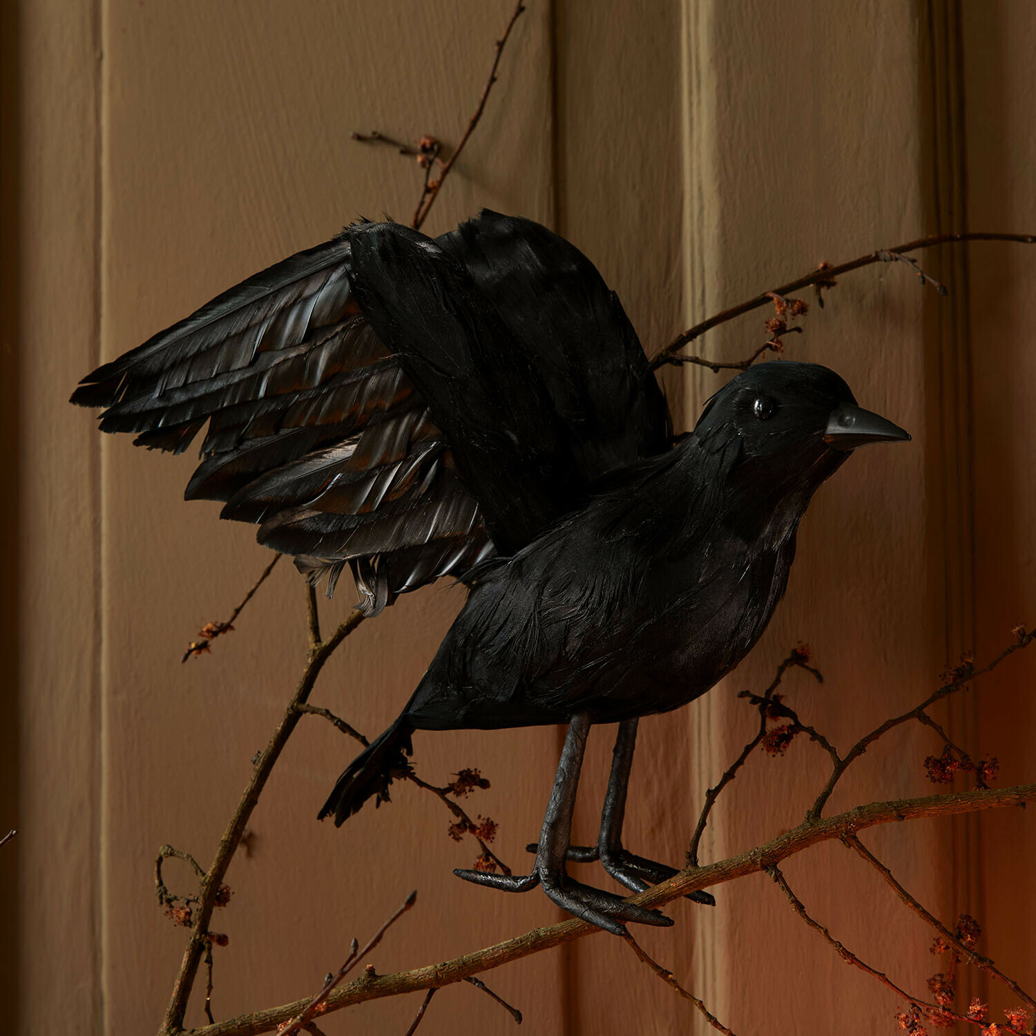 Uccello decorativo Faelron