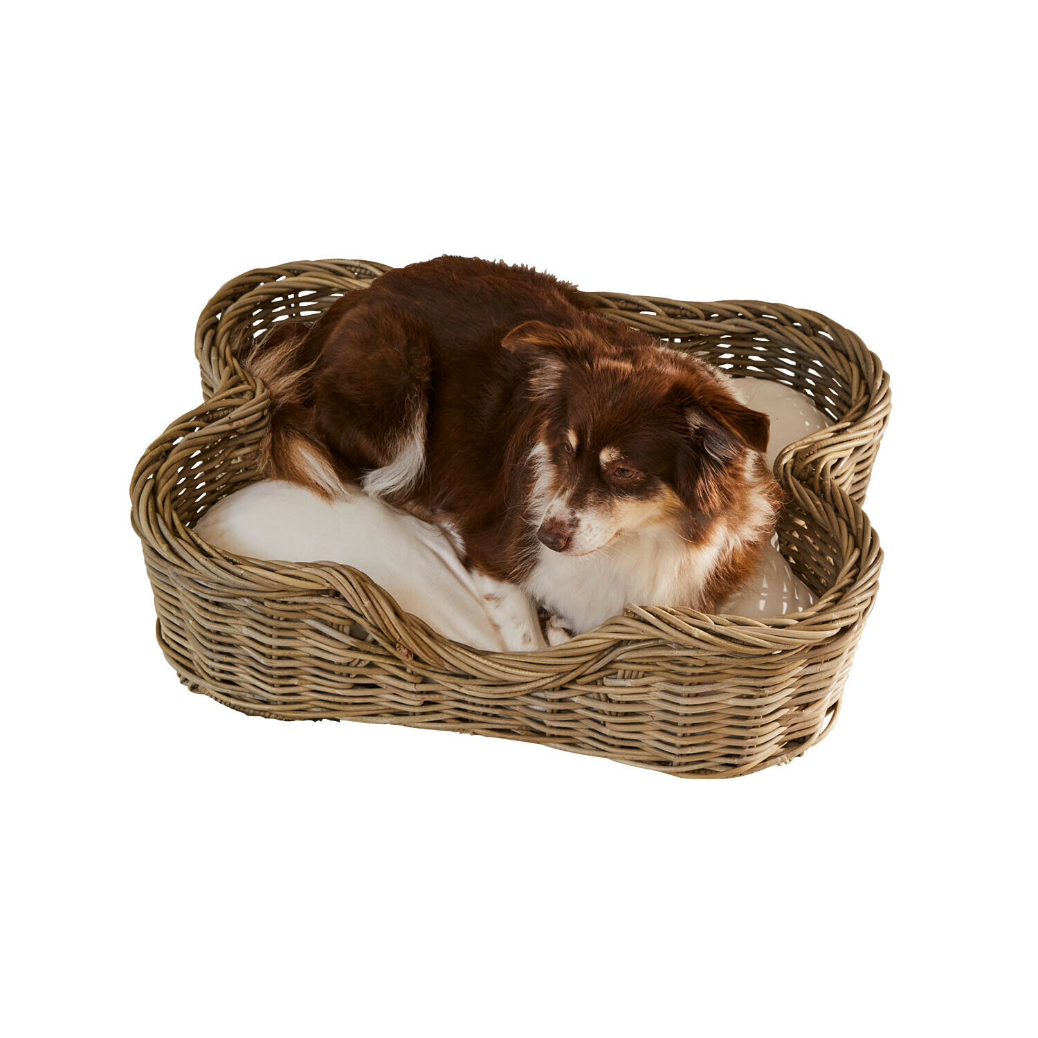 Cuccia per cani Ninloo