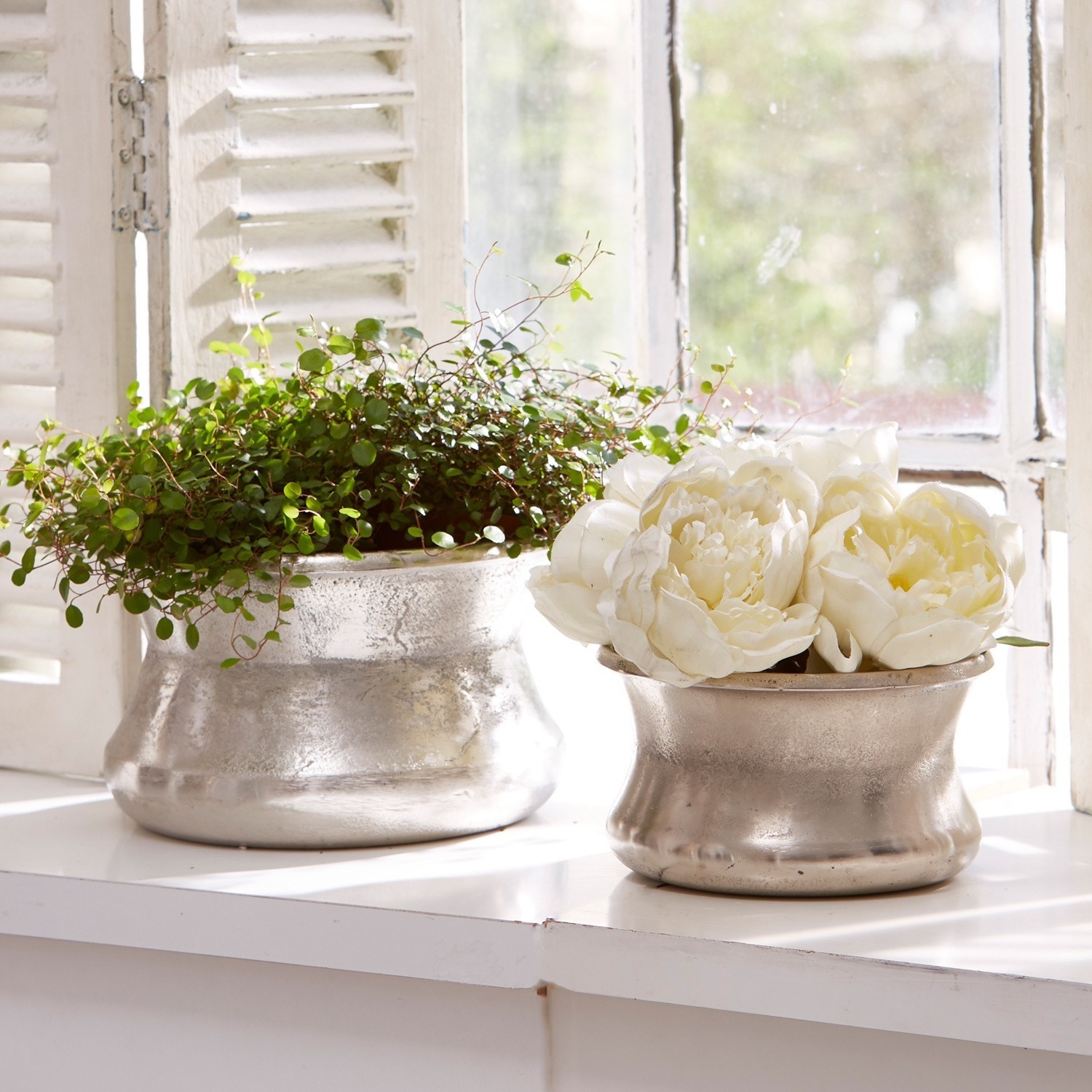 Coppia di vasi Riona Due vasi in metallo argentato sul davanzale con pianta verde e fiori bianchi decorativi