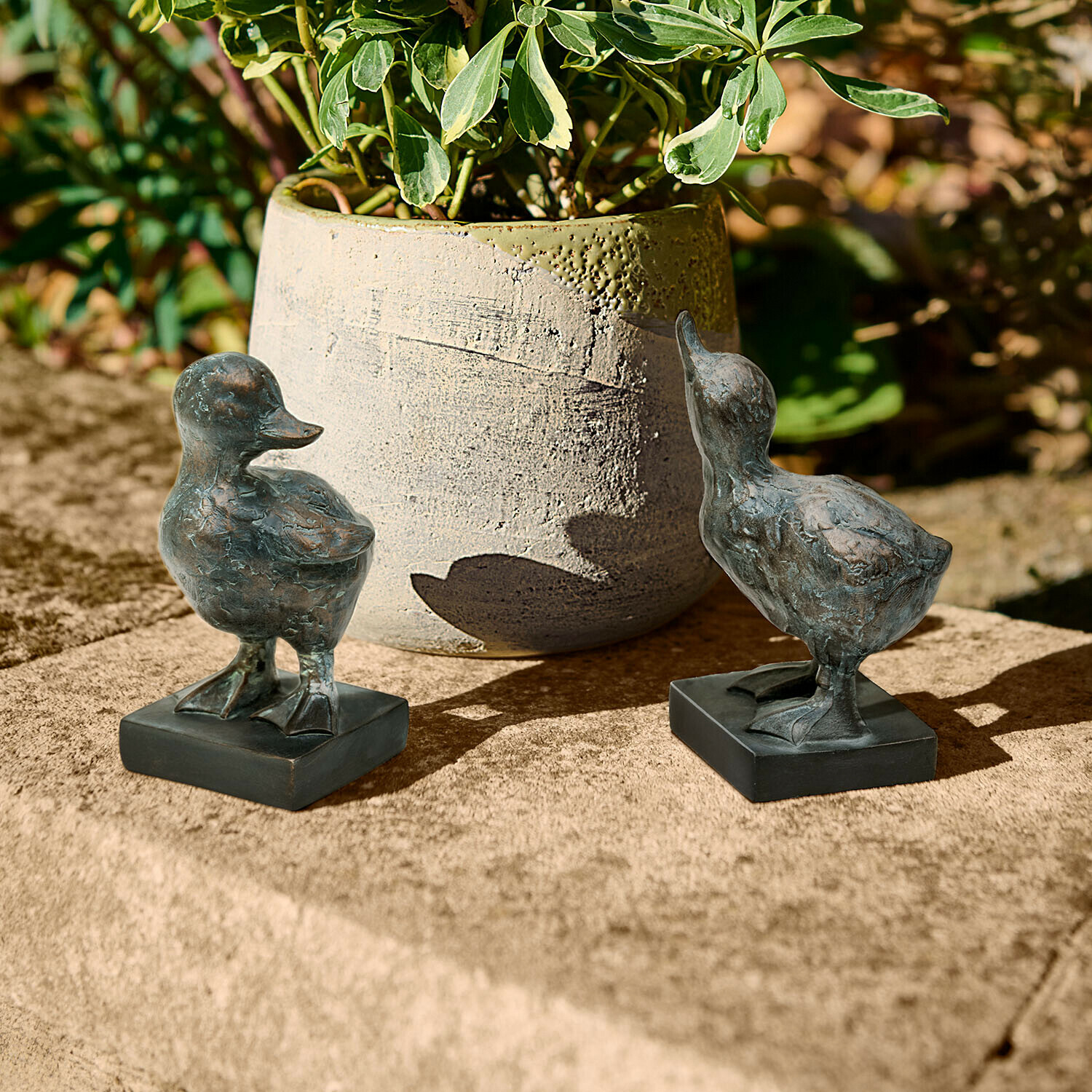 Due statuette di anatre in metallo scuro su superficie in pietra accanto a un vaso con pianta