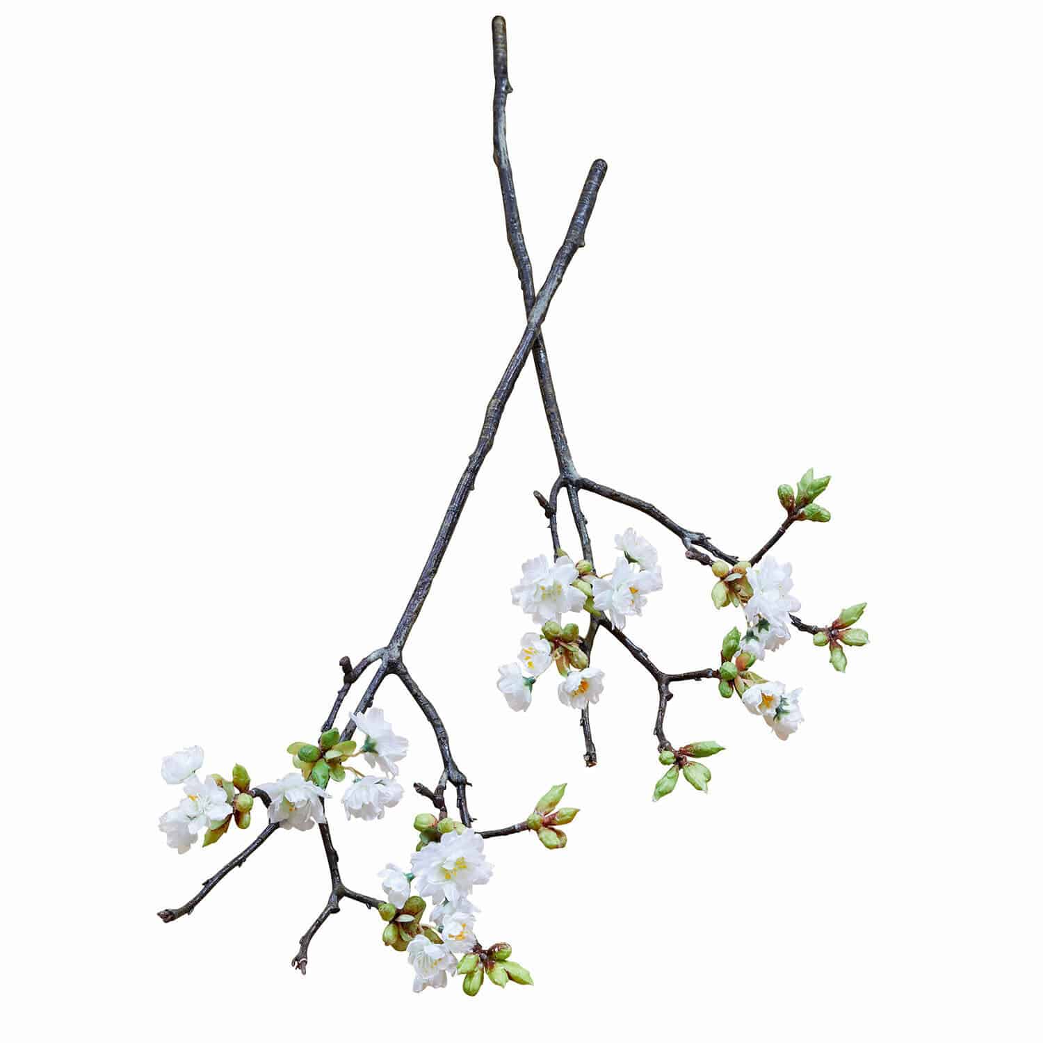 Coppia di fiori decorativi Gráda