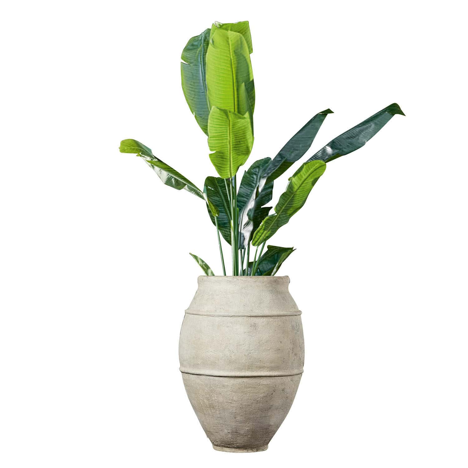 Portavaso Morcote Grande vaso in pietra chiara con foglie verdi di banana per decorazione interna e giardino