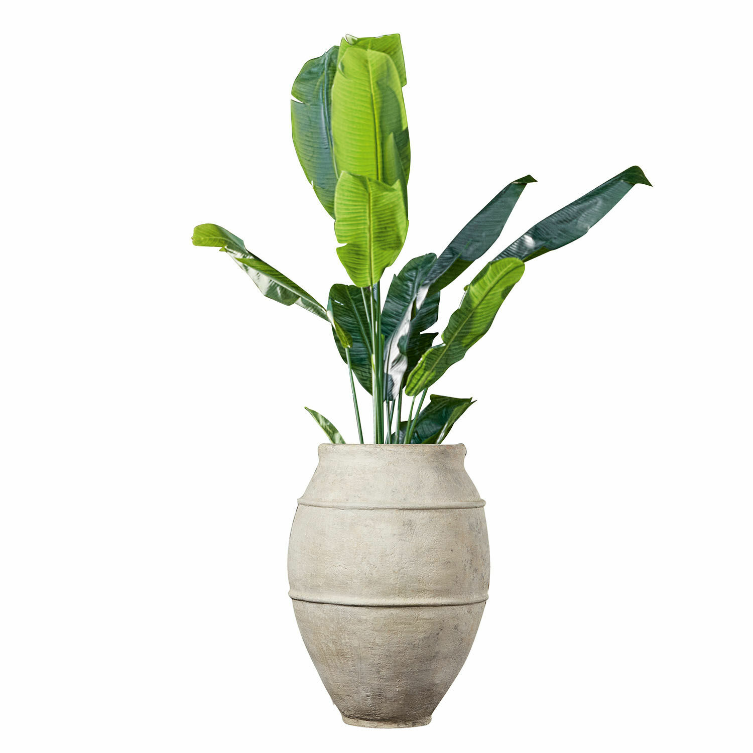 Portavaso Morcote Grande vaso in pietra chiara con foglie verdi di banana per decorazione interna e giardino