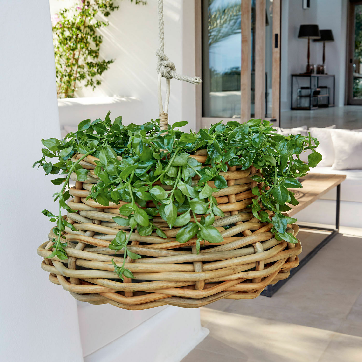 Cesto da appendere Villaz Cesto sospeso in rattan naturale con piante verdi per decorazione interna ed esterna